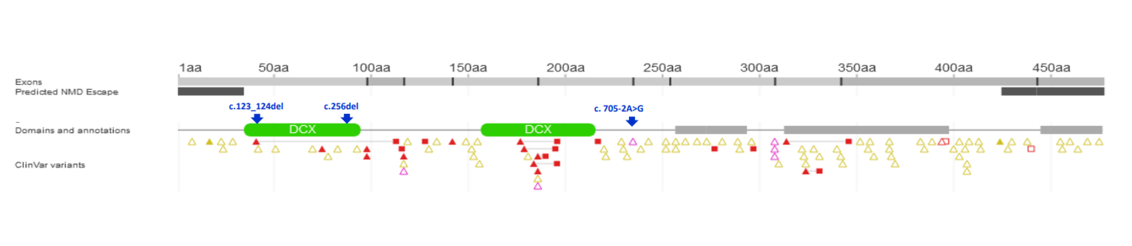 Diagnostics 13 01917 g003