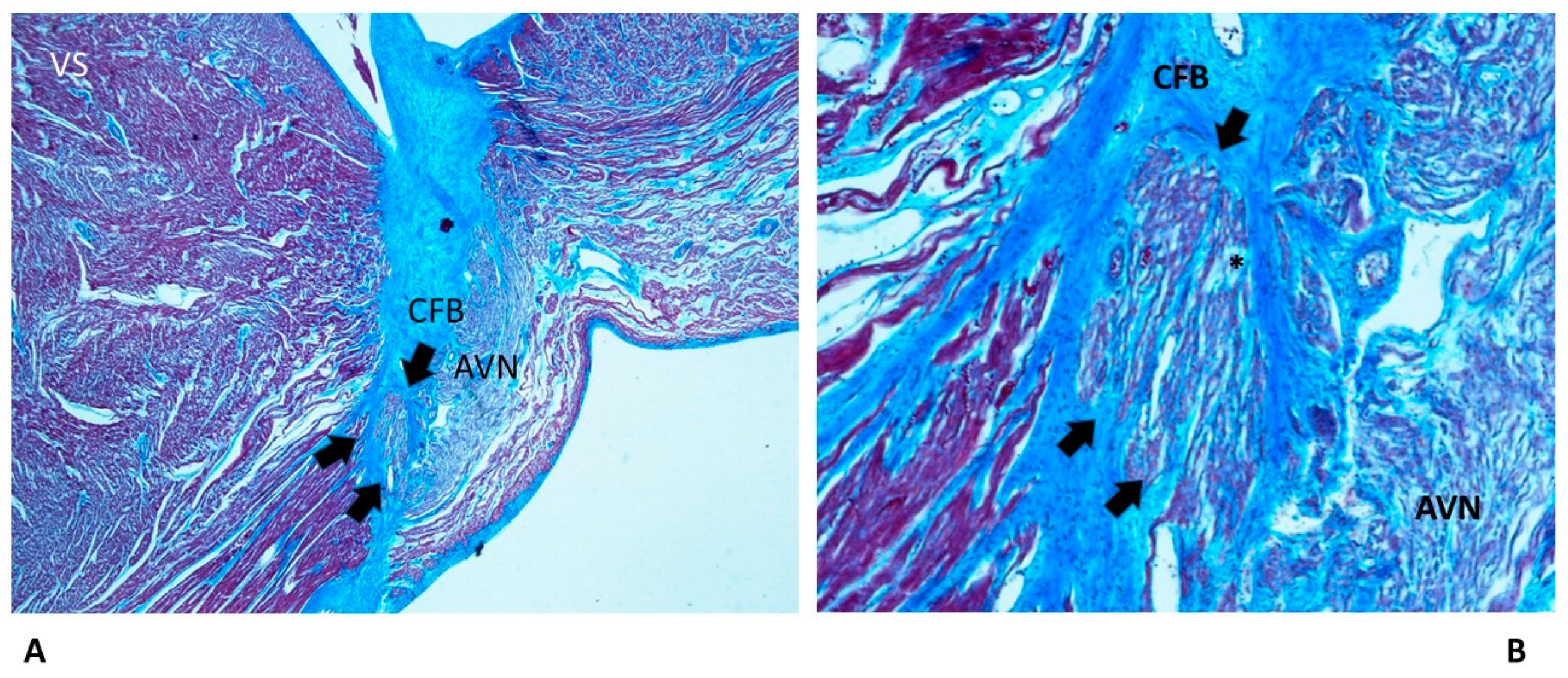 Diagnostics 13 01919 g002 Diagnostics 13 01919 g002