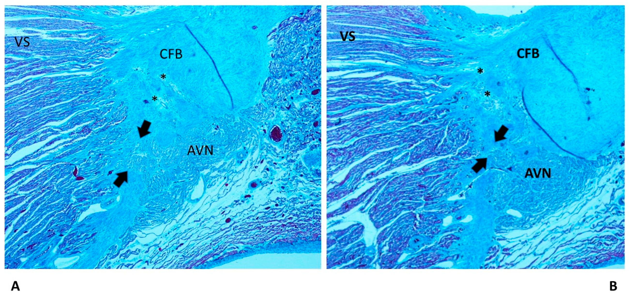 Diagnostics 13 01919 g003 Diagnostics 13 01919 g003