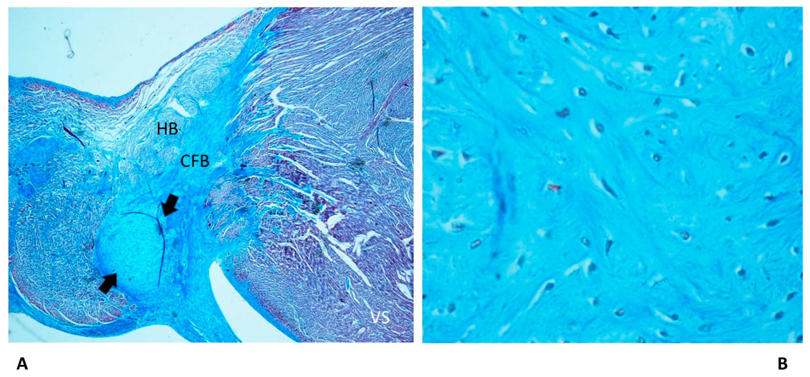 Diagnostics 13 01919 g004 Diagnostics 13 01919 g004