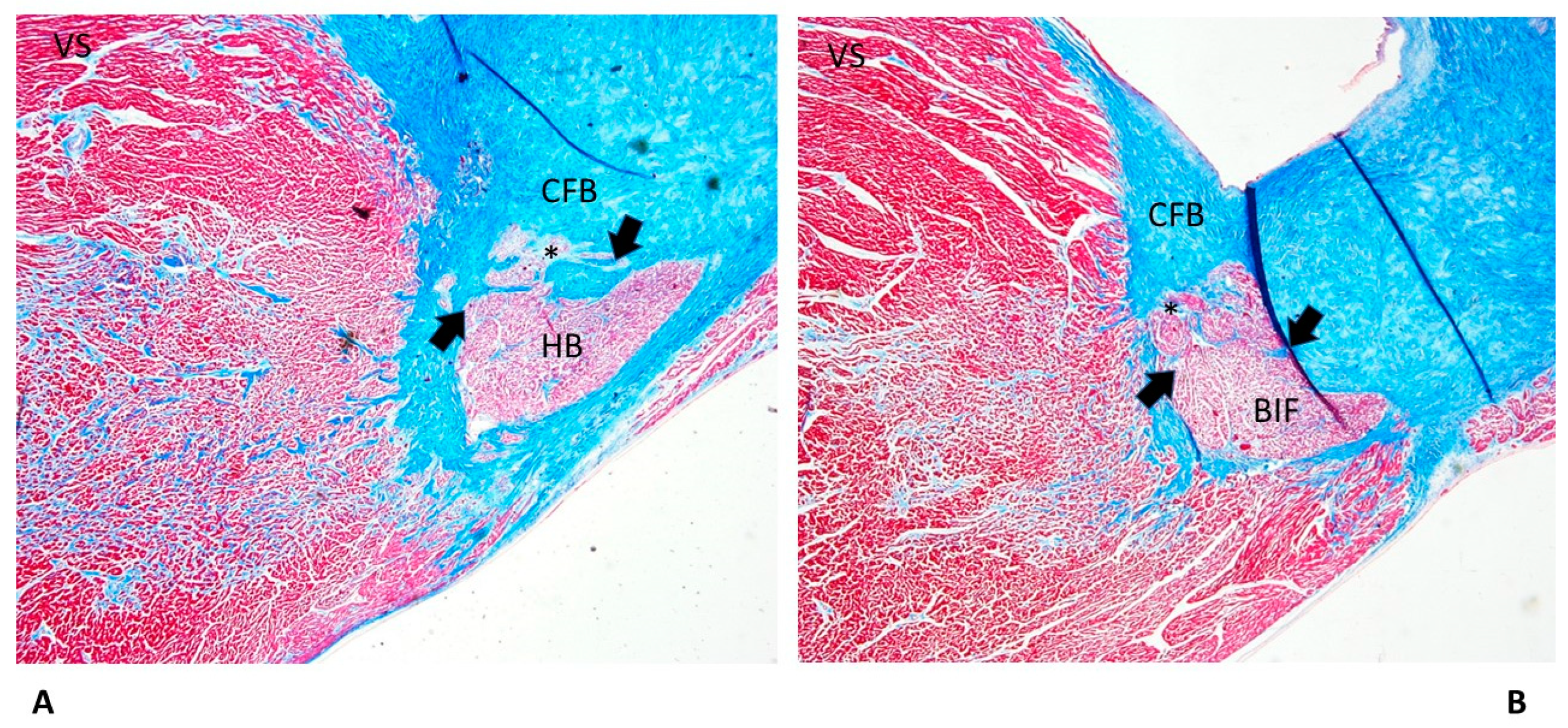 Diagnostics 13 01919 g005 Diagnostics 13 01919 g005