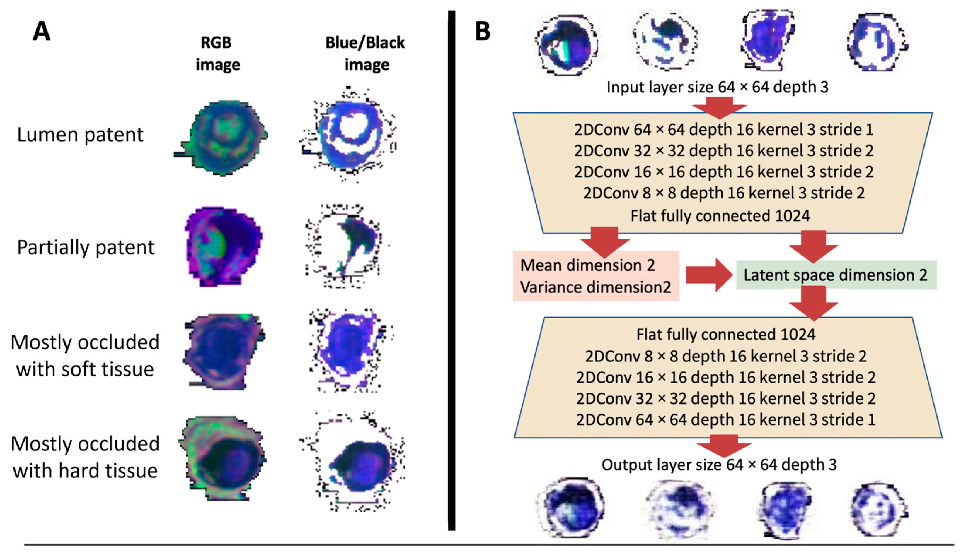 Diagnostics 13 01925 g001 Diagnostics 13 01925 g001