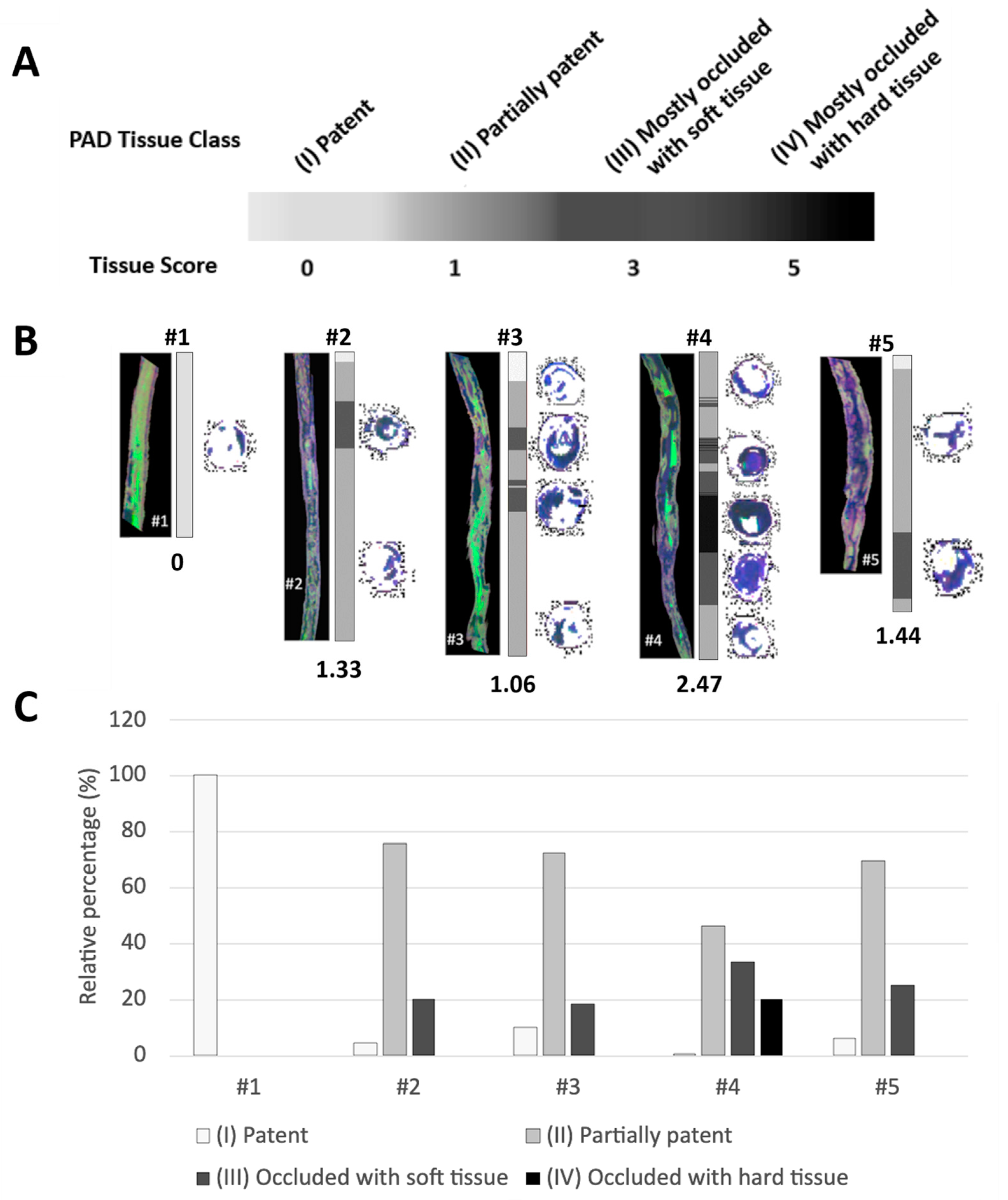 Diagnostics 13 01925 g003 Diagnostics 13 01925 g003