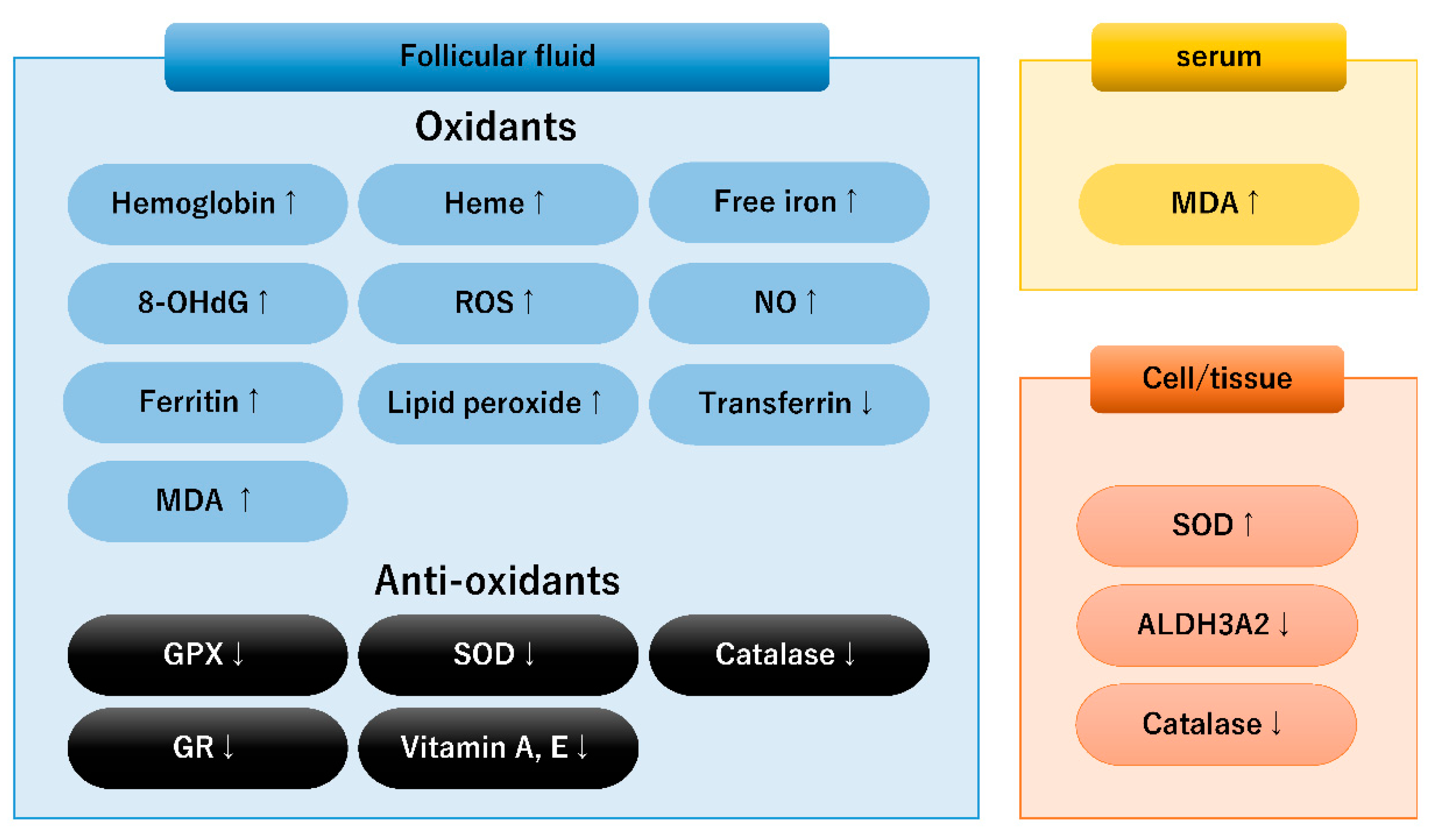 Diagnostics 13 01926 g001