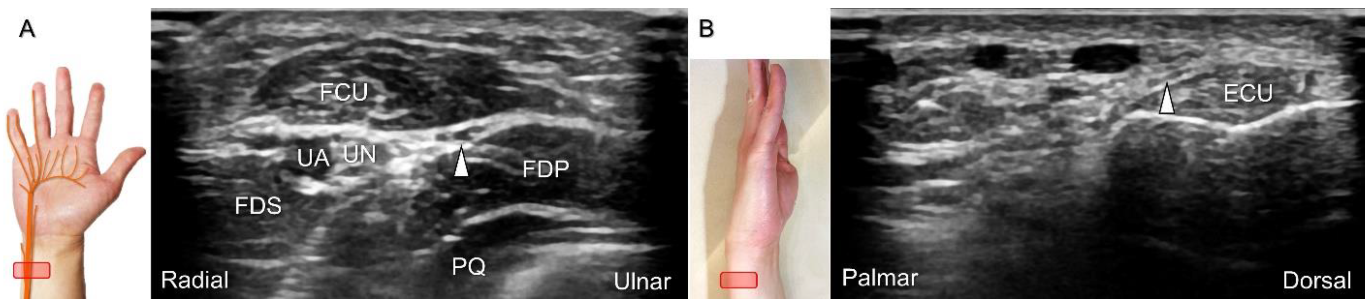 Diagnostics 13 01928 g019