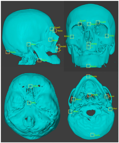 Three Skulls Theories Archive on X: I believe that this is one of