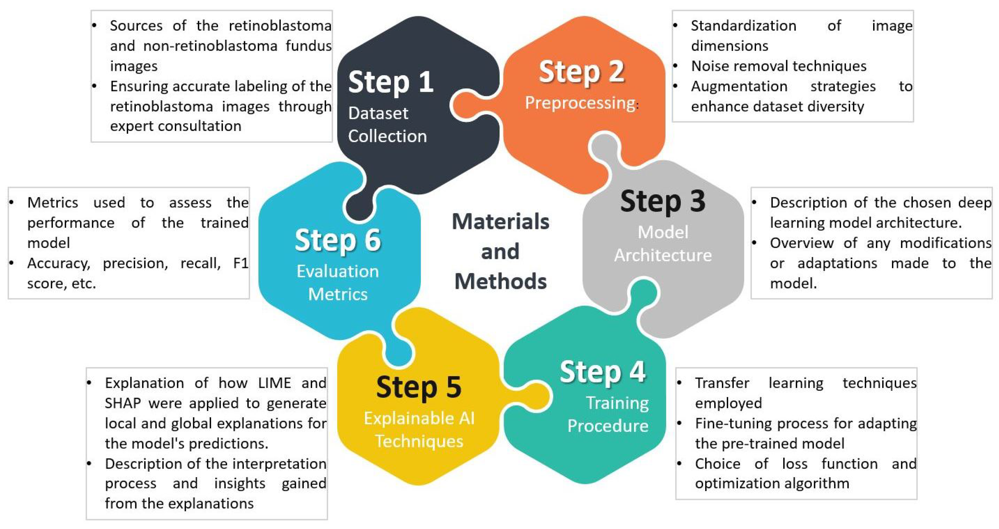 Diagnostics Free FullText Explainable AI for Retinoblastoma