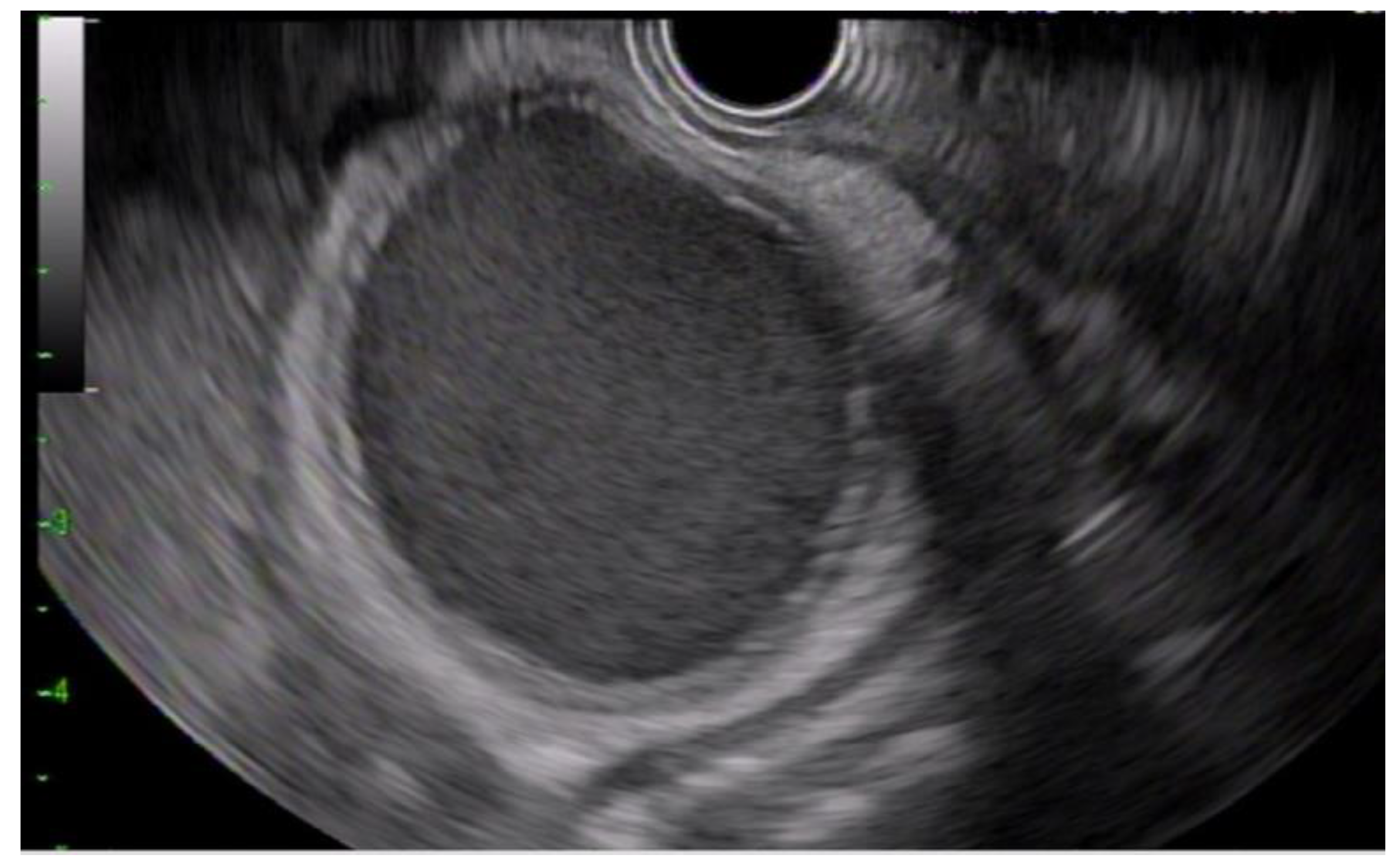 Diagnostics 13 01933 g001 Diagnostics 13 01933 g001