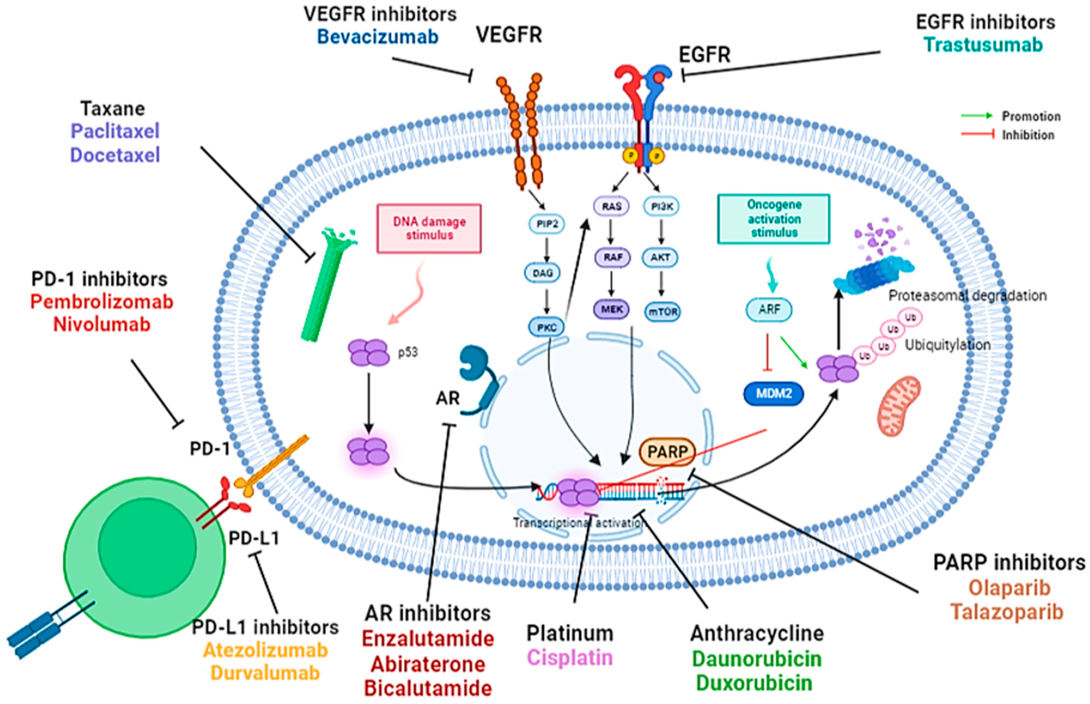 Diagnostics 13 01949 g001 Diagnostics 13 01949 g001