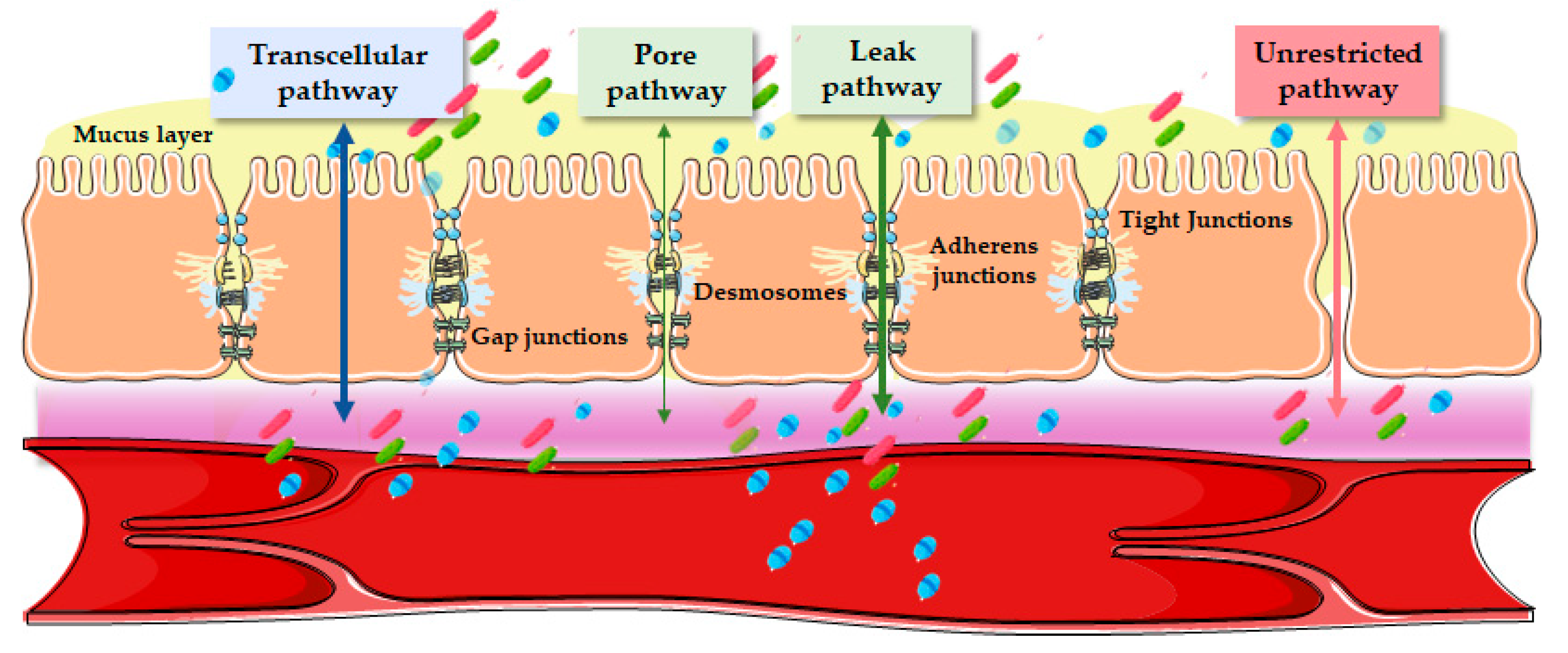 Diagnostics 13 01976 g002