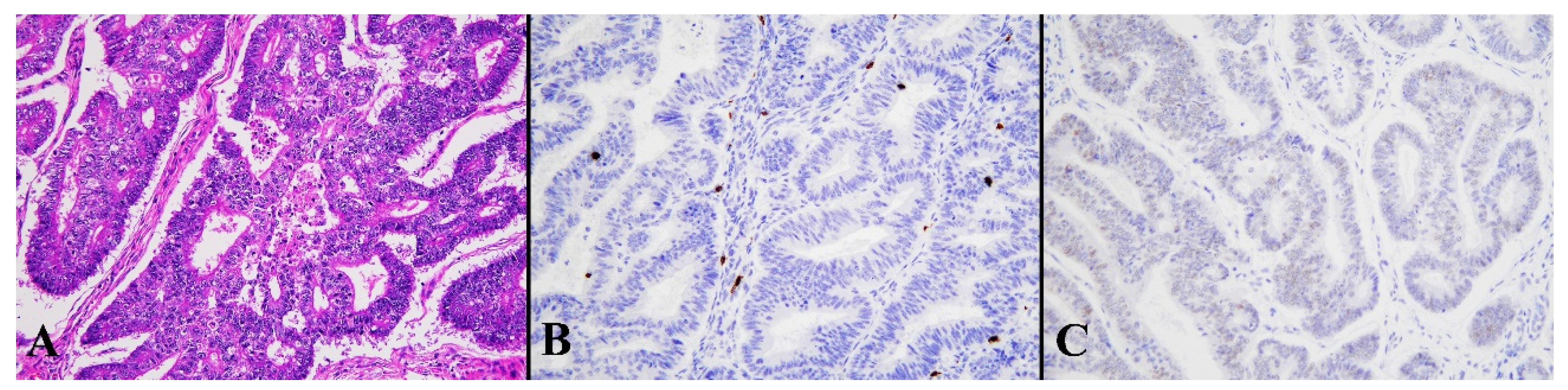 Diagnostics 13 01985 g006 Diagnostics 13 01985 g006