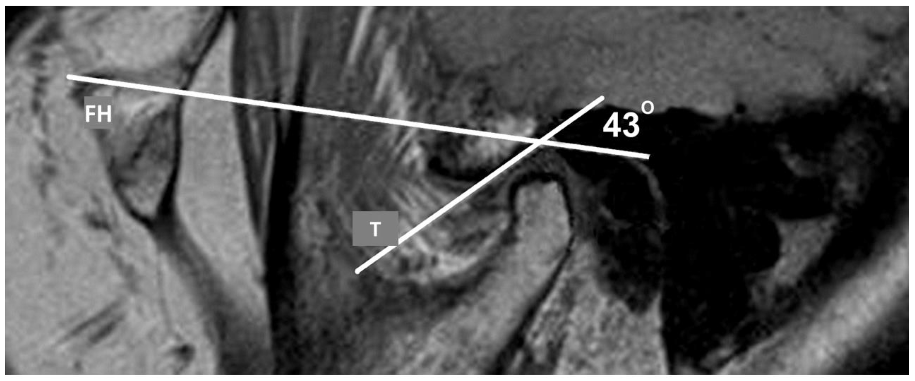 Diagnostics 13 01986 g005