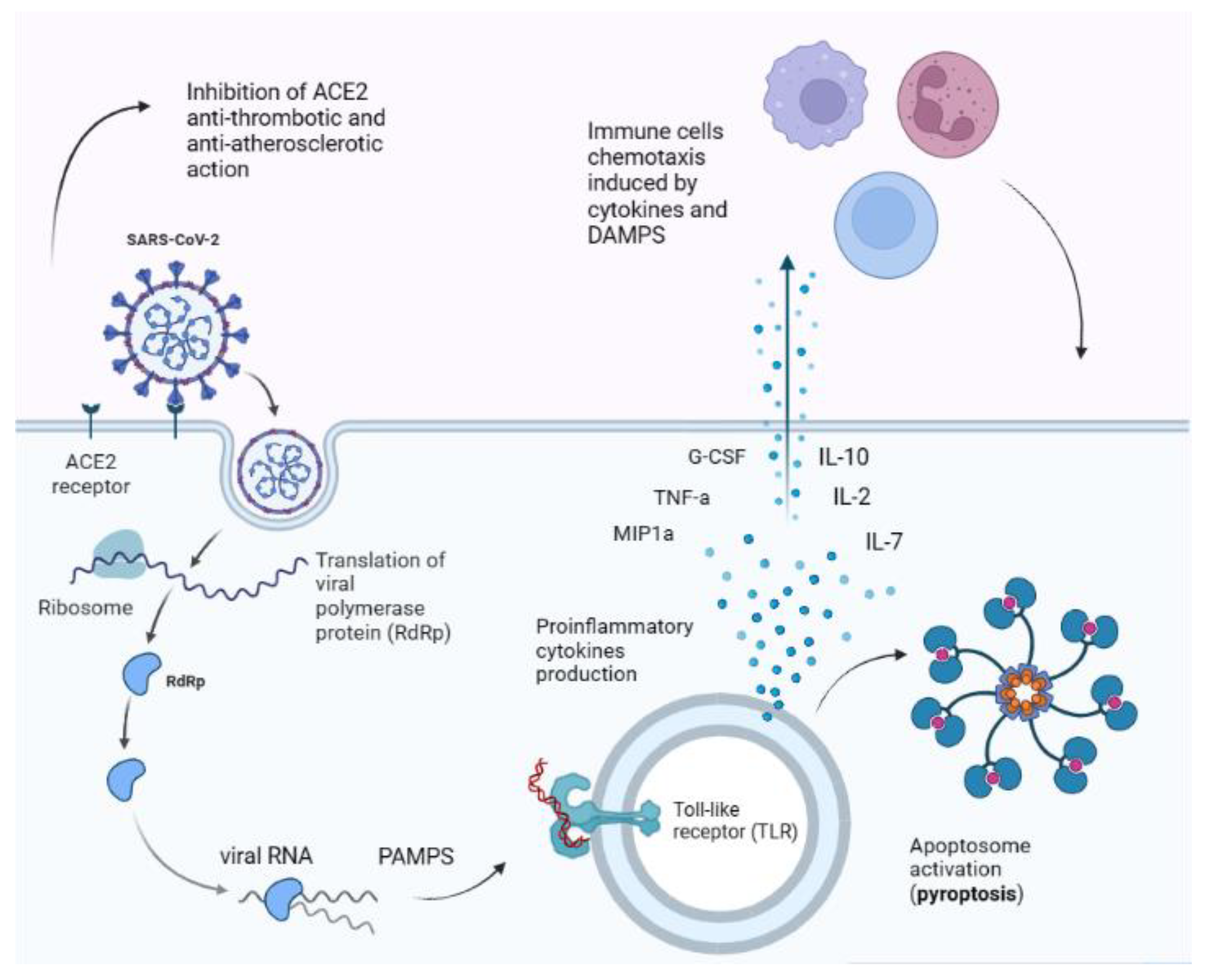 Diagnostics 13 01990 g001 Diagnostics 13 01990 g001