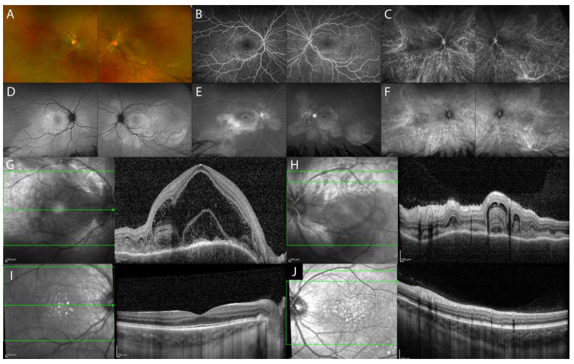 Diagnostics 13 01991 g001 Diagnostics 13 01991 g001