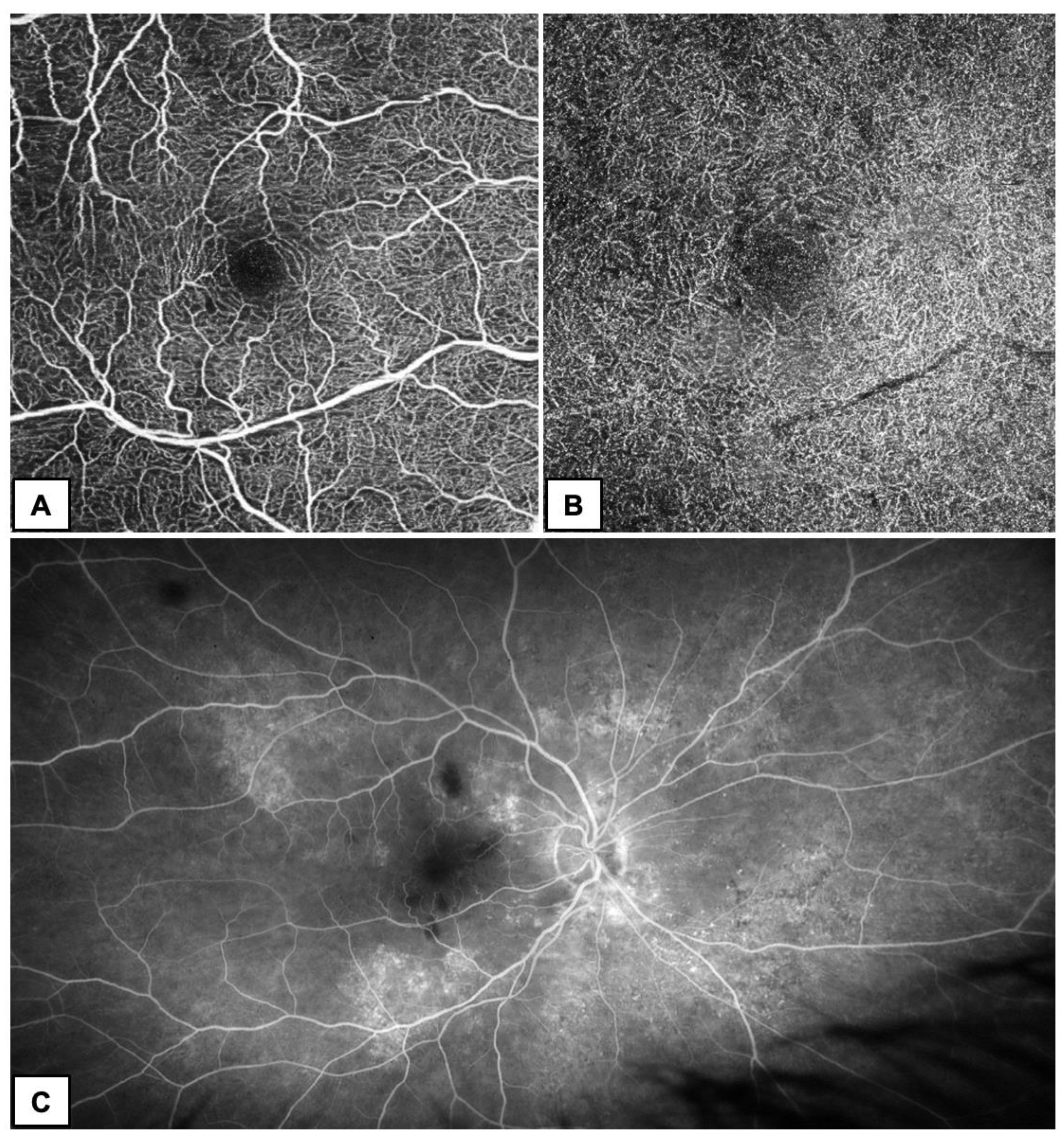 Diagnostics 13 01992 g003