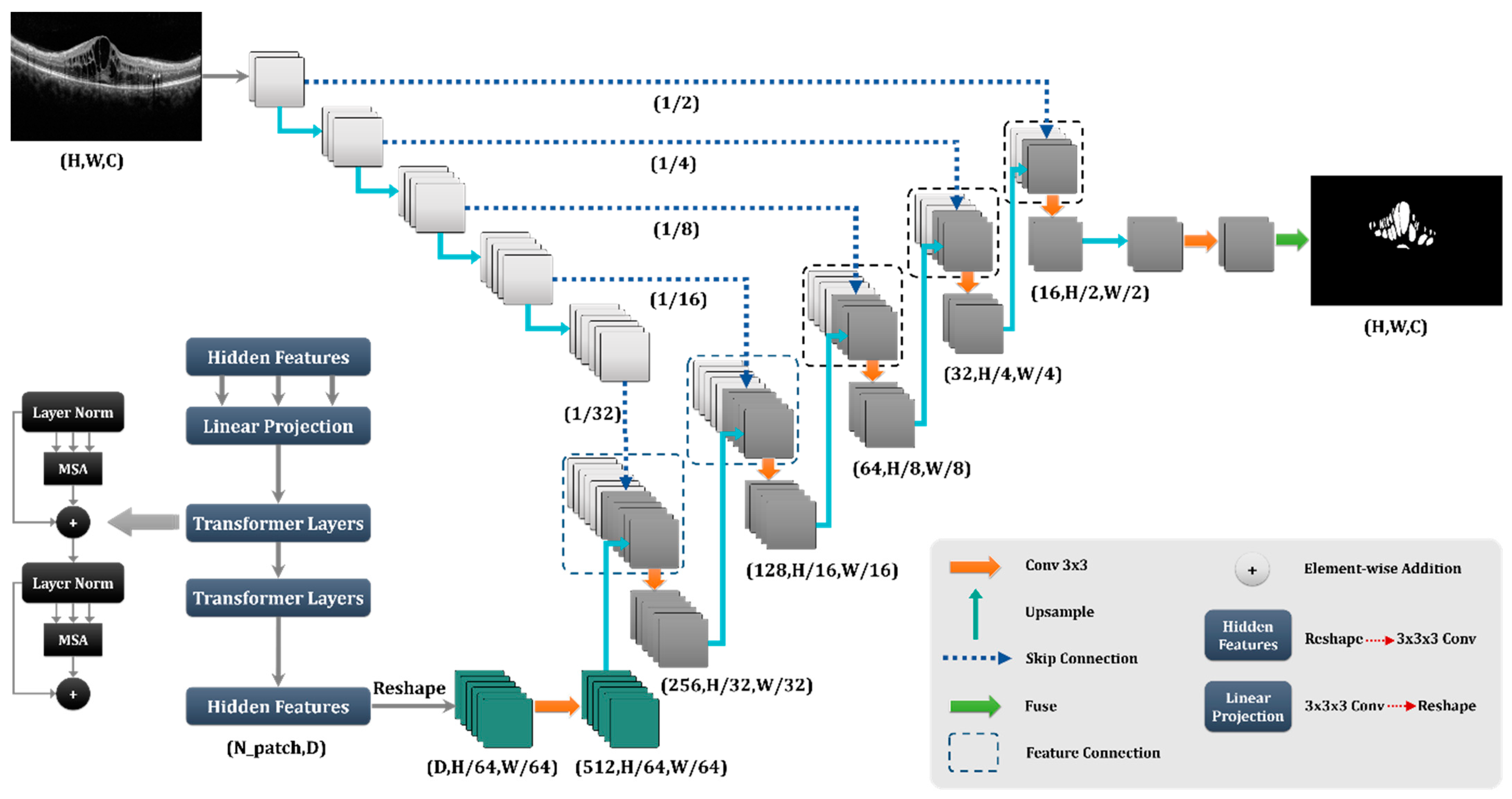 Diagnostics 13 01994 g004