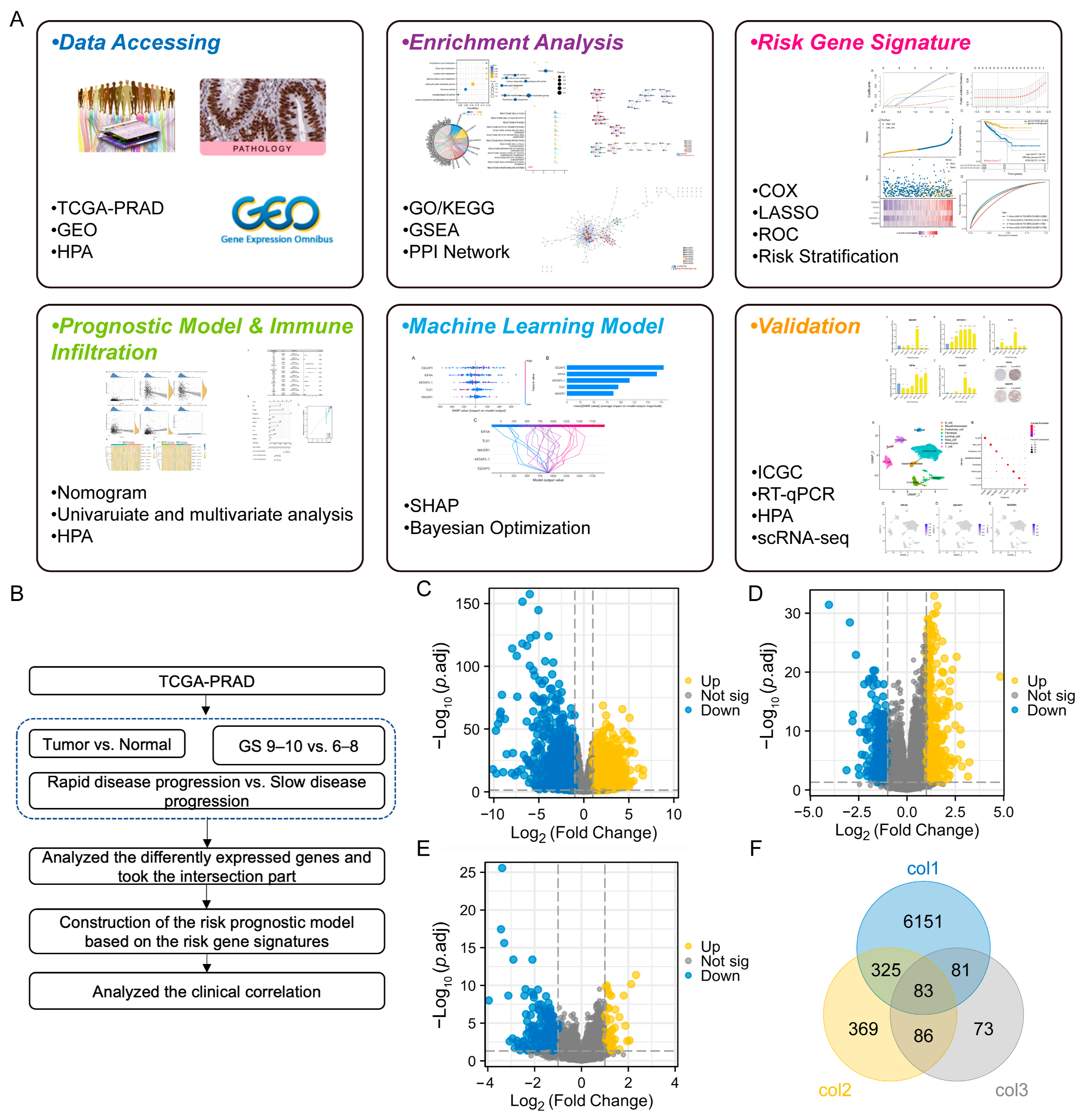 Diagnostics 13 01997 g001