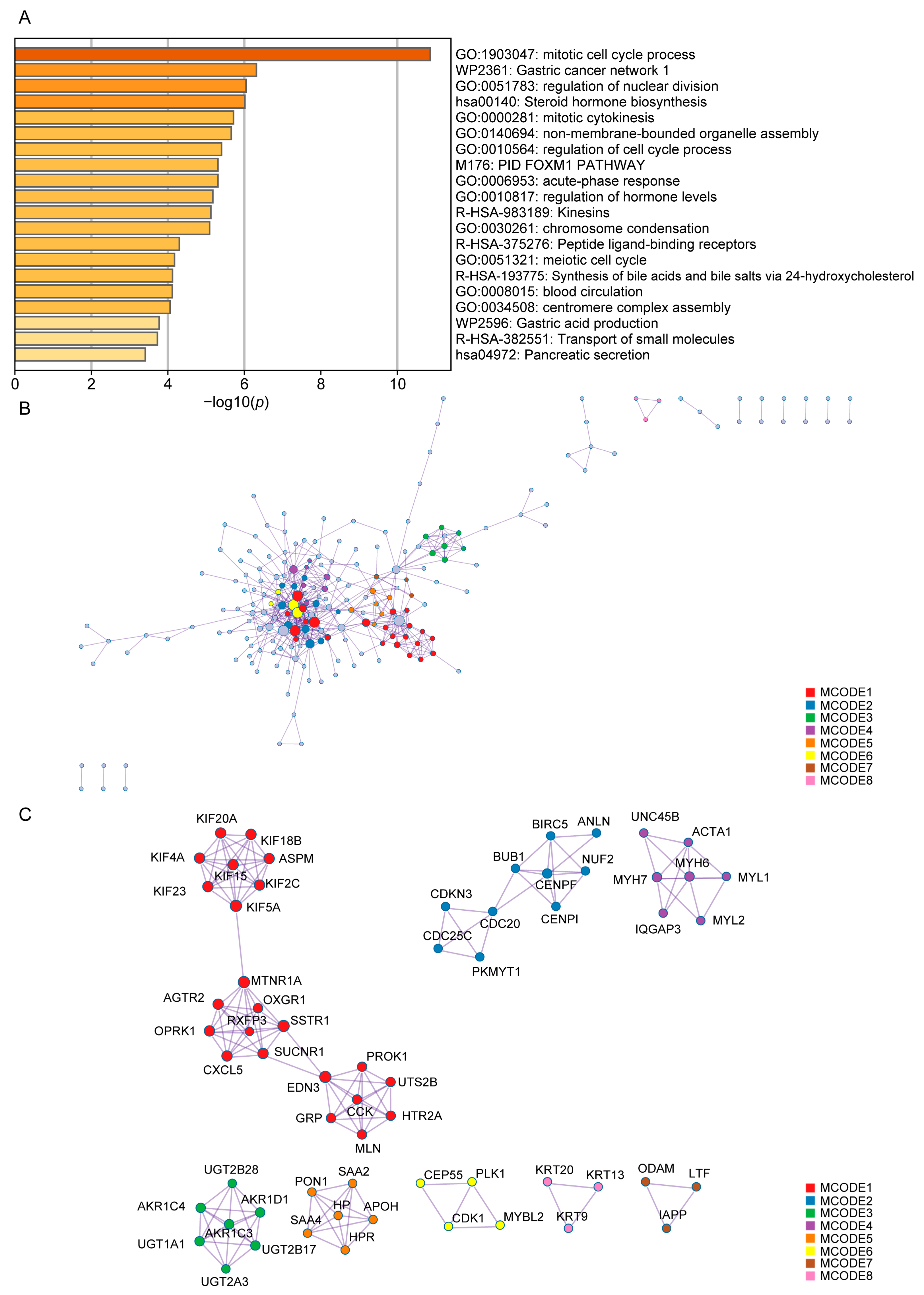 Diagnostics 13 01997 g004