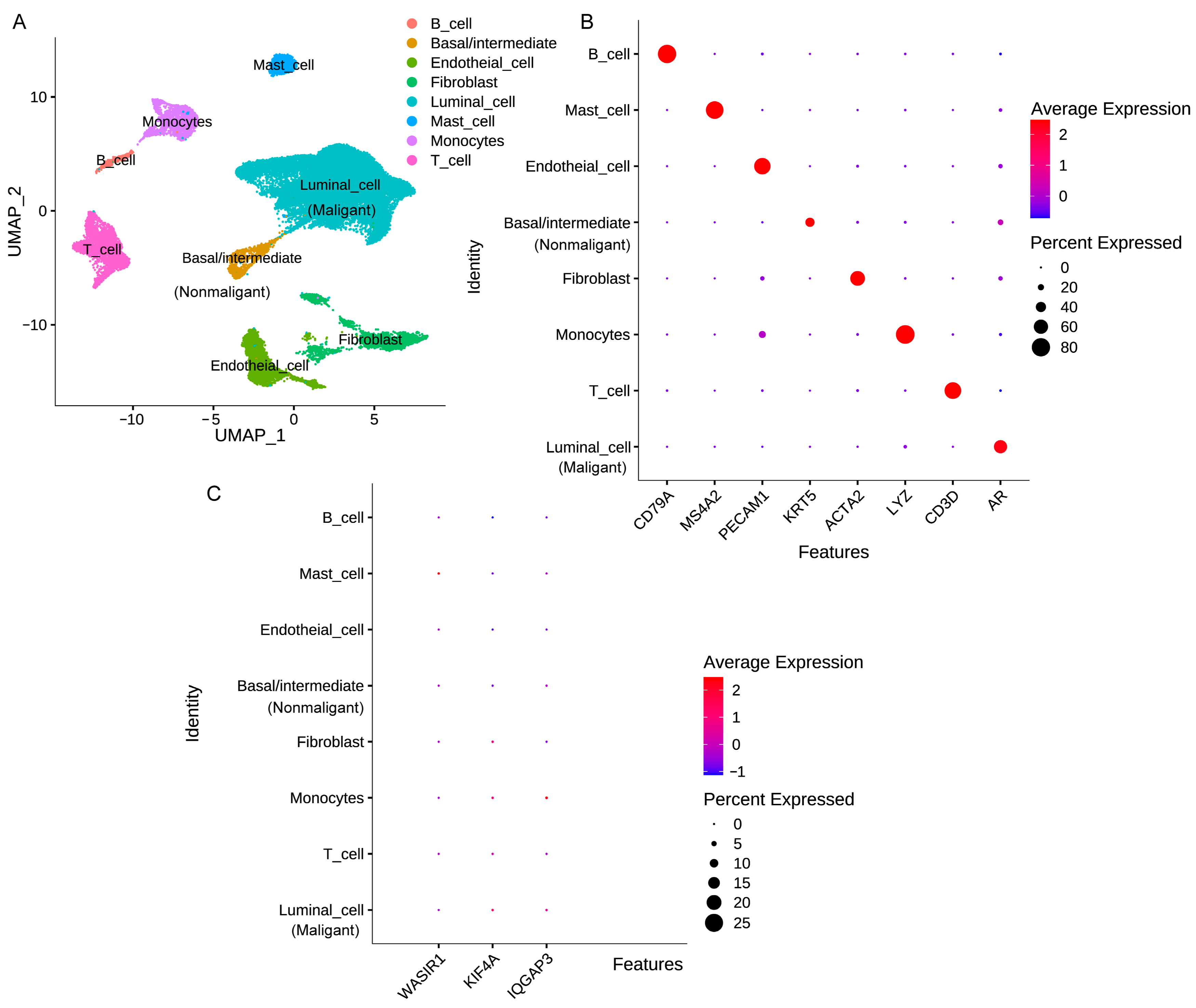 Diagnostics 13 01997 g009