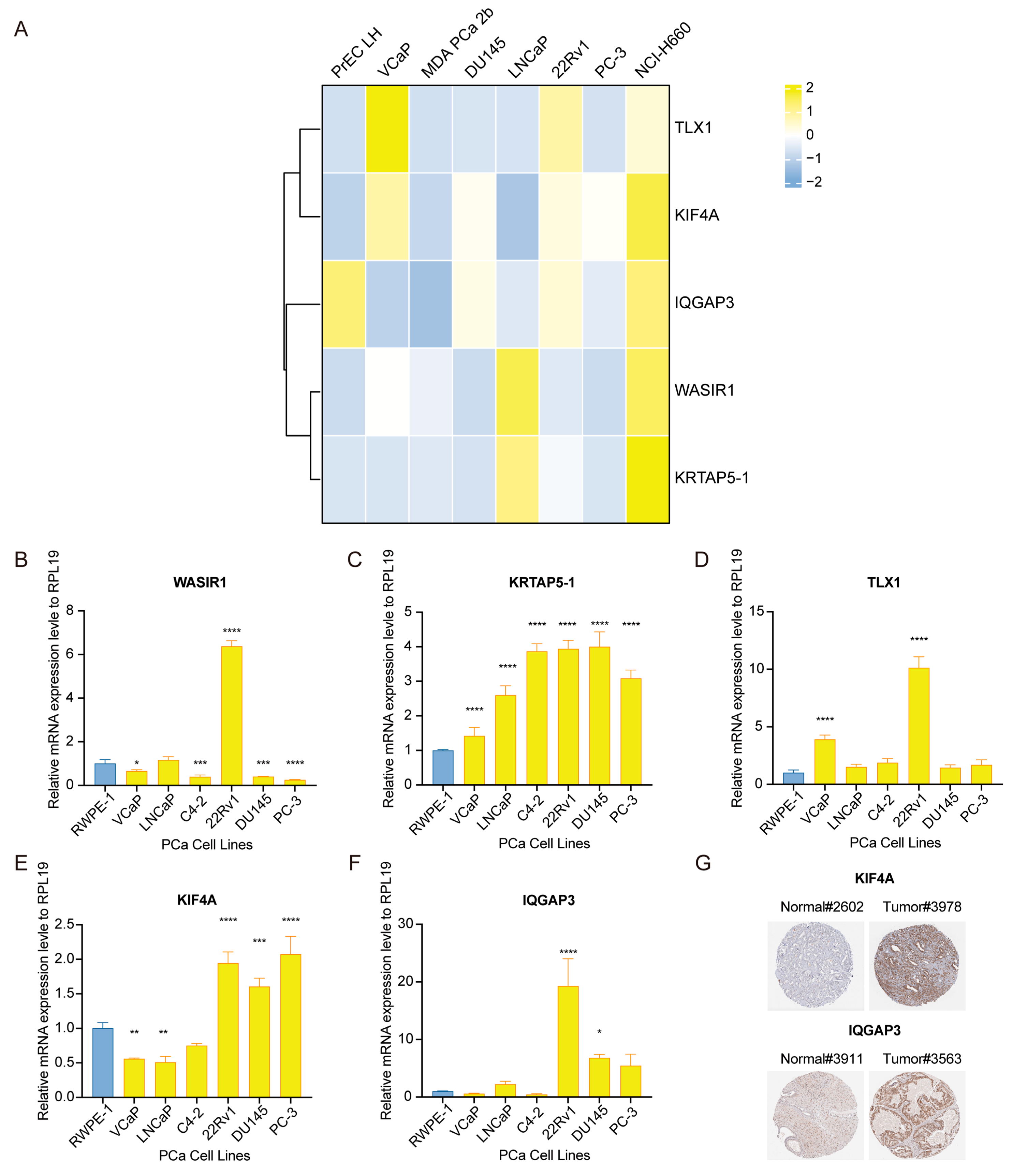 Diagnostics 13 01997 g010