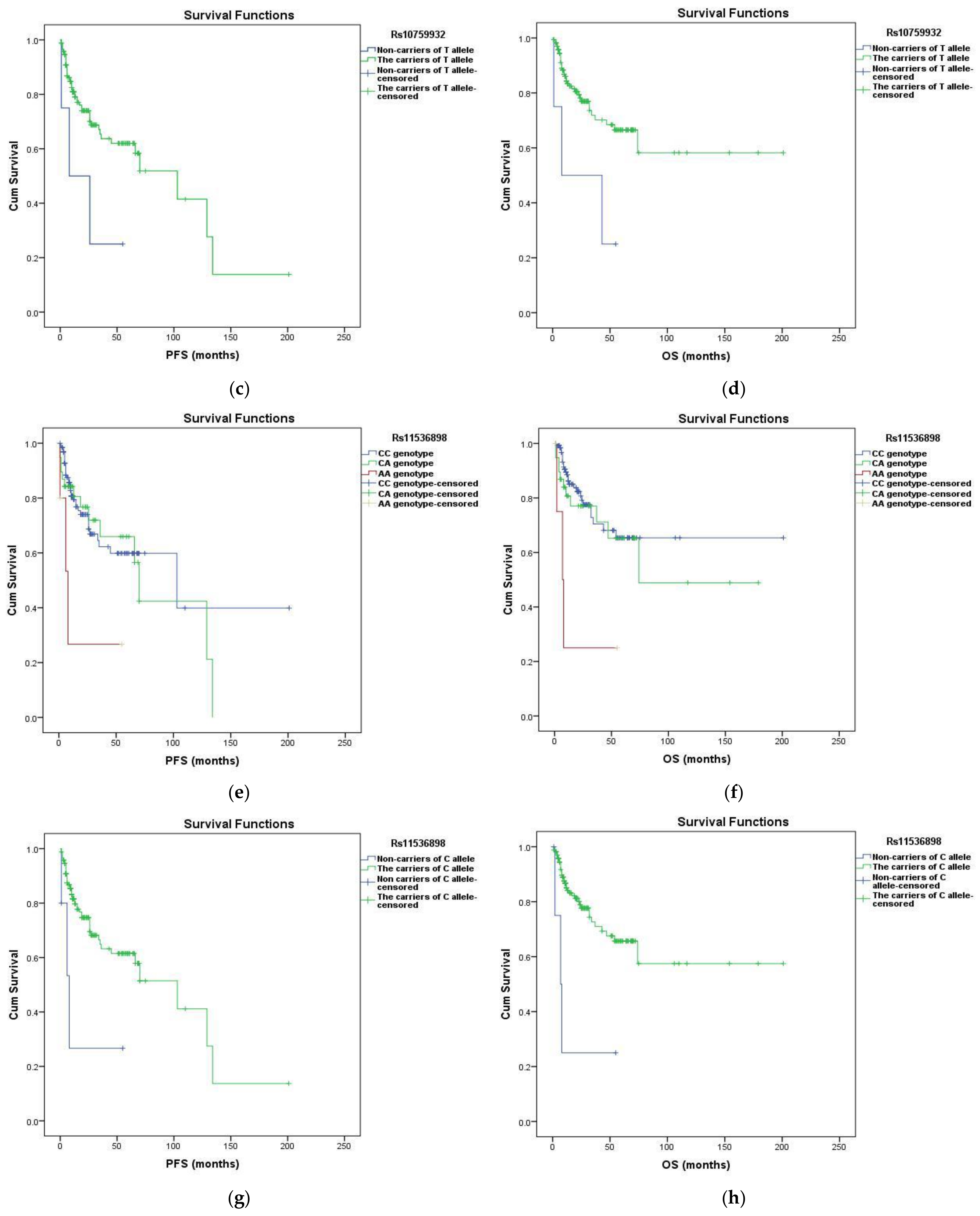 Diagnostics 13 01999 g001b