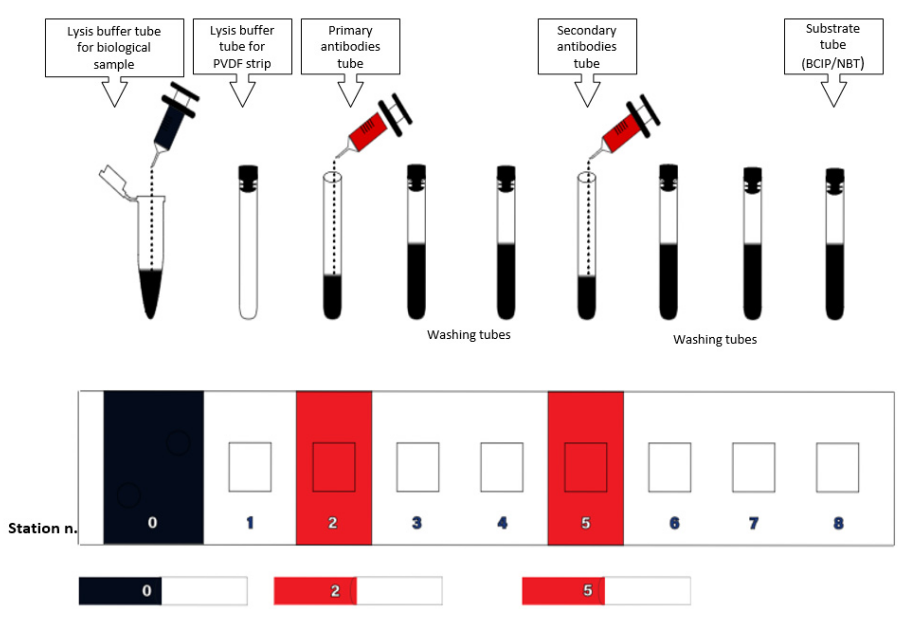 Diagnostics Free FullText An ELISA Test Able to Predict the
