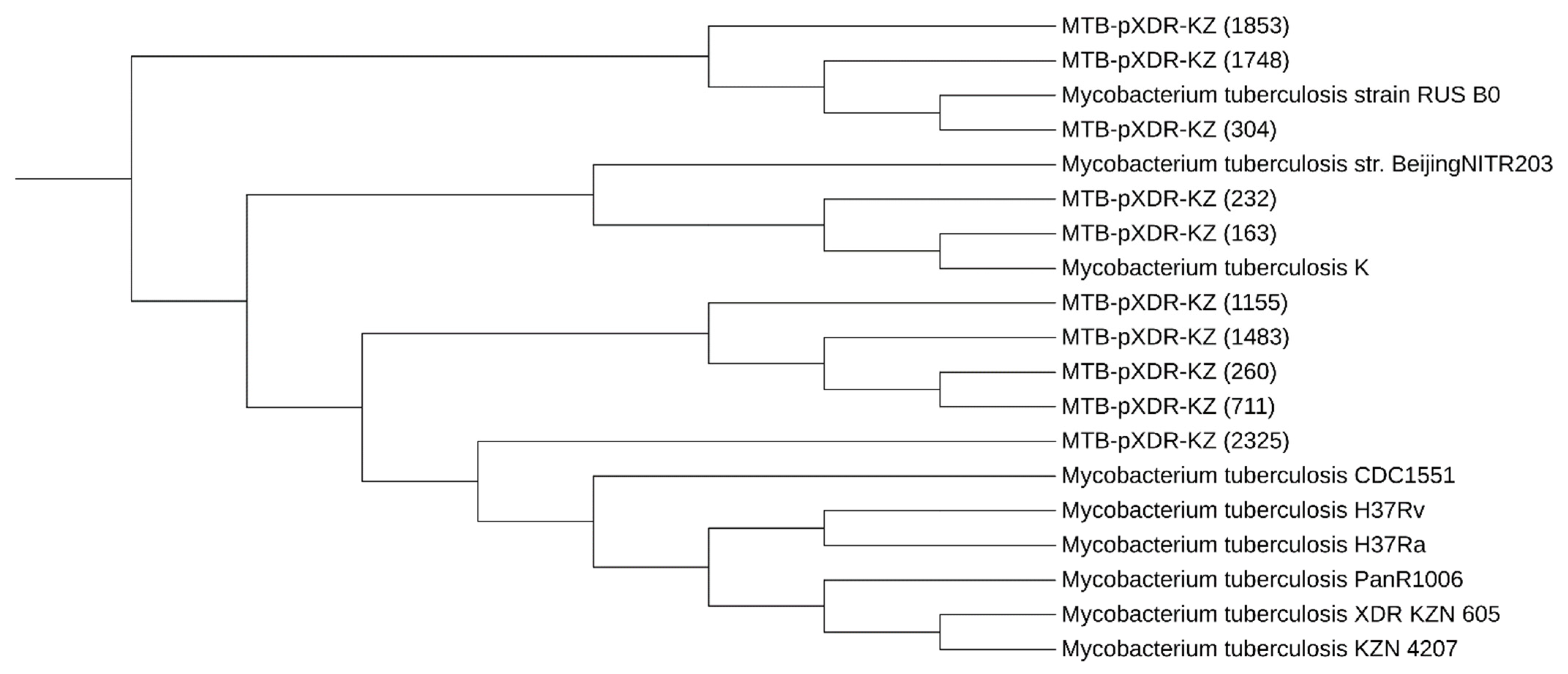 Diagnostics 13 02005 g001 Diagnostics 13 02005 g001