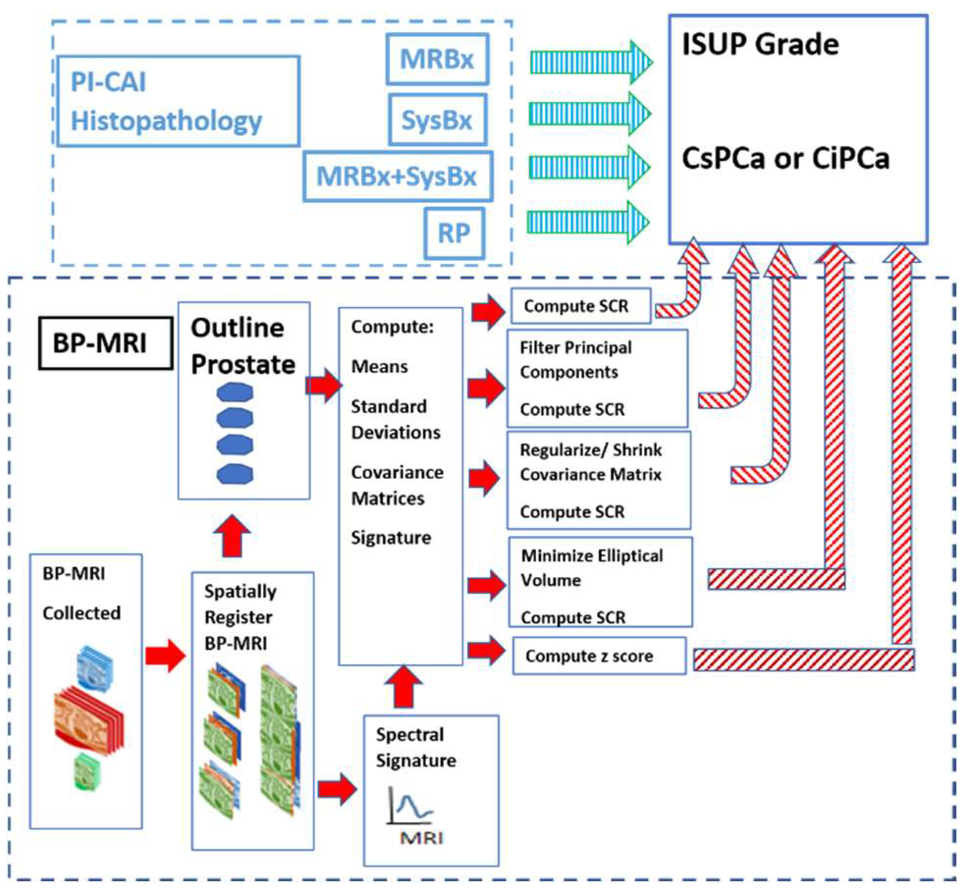 Diagnostics 13 02008 g001