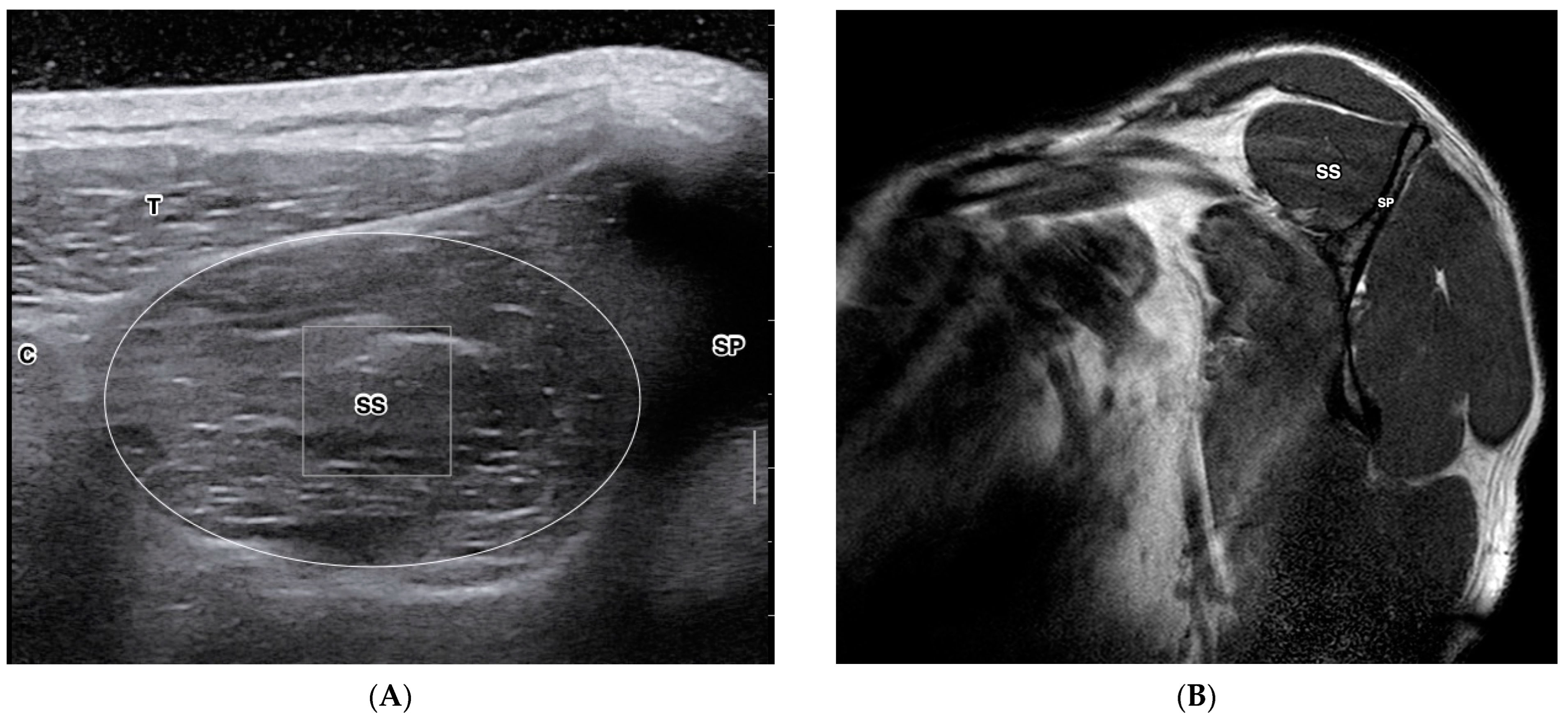 Diagnostics 13 02011 g001