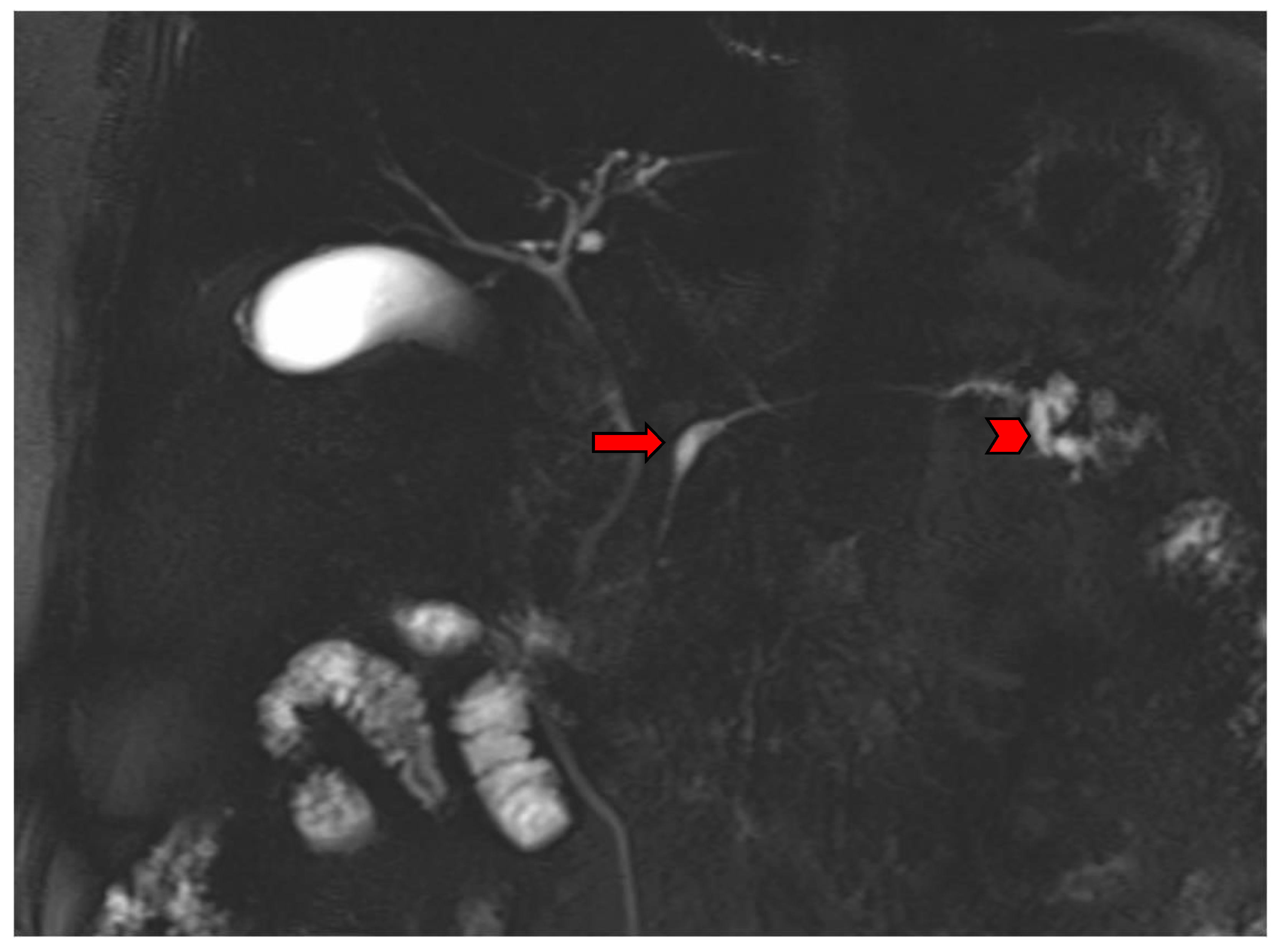 Diagnostics 13 02015 g006