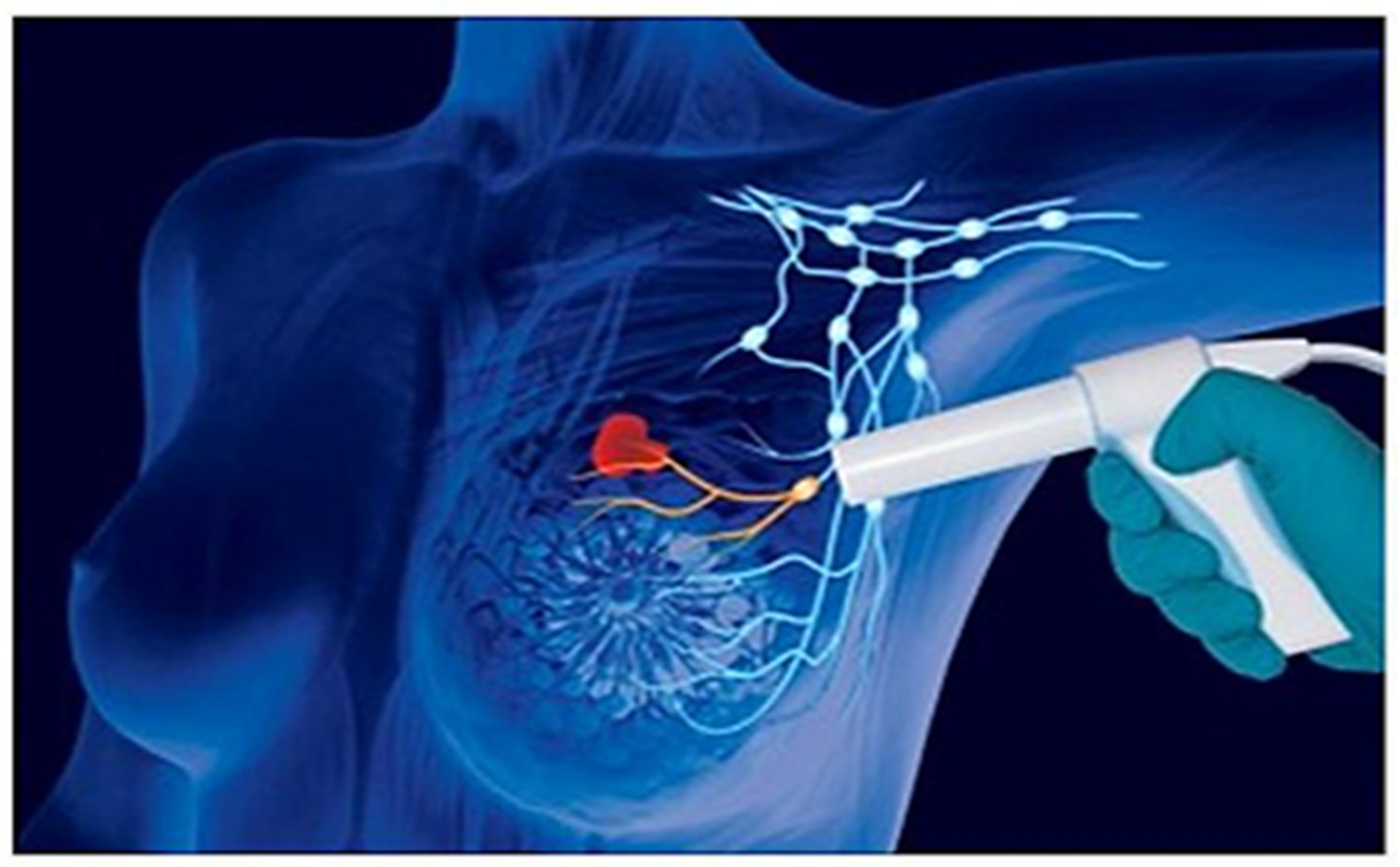 Diagnostics 13 02030 g005 Diagnostics 13 02030 g005