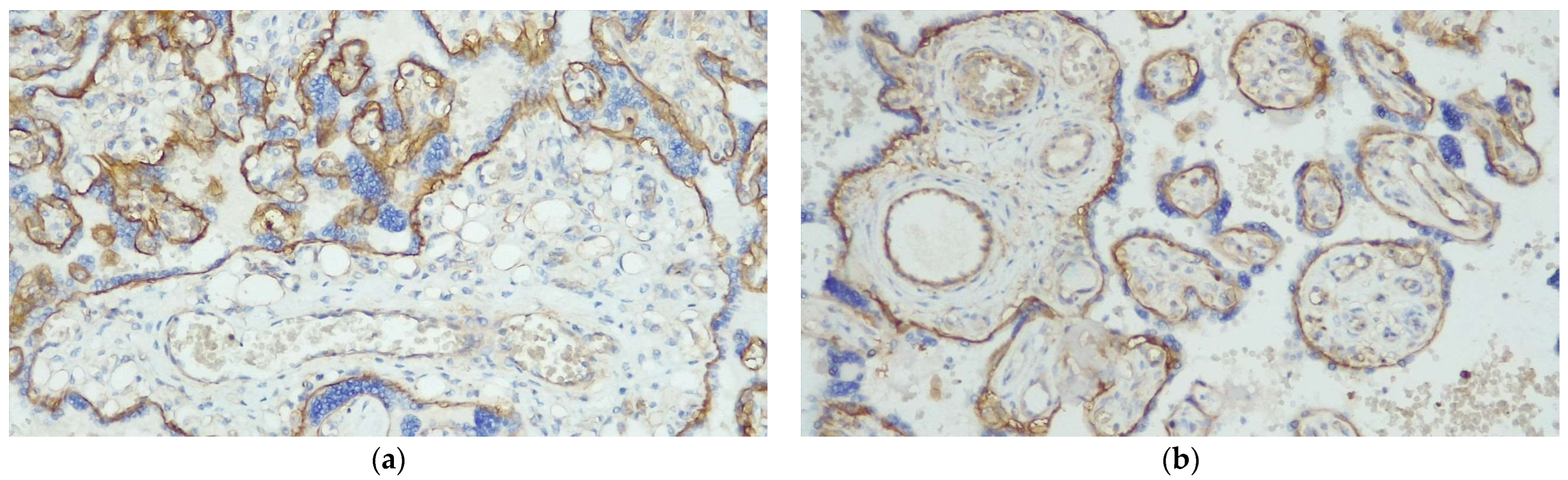 Diagnostics 13 02034 g001 Diagnostics 13 02034 g001