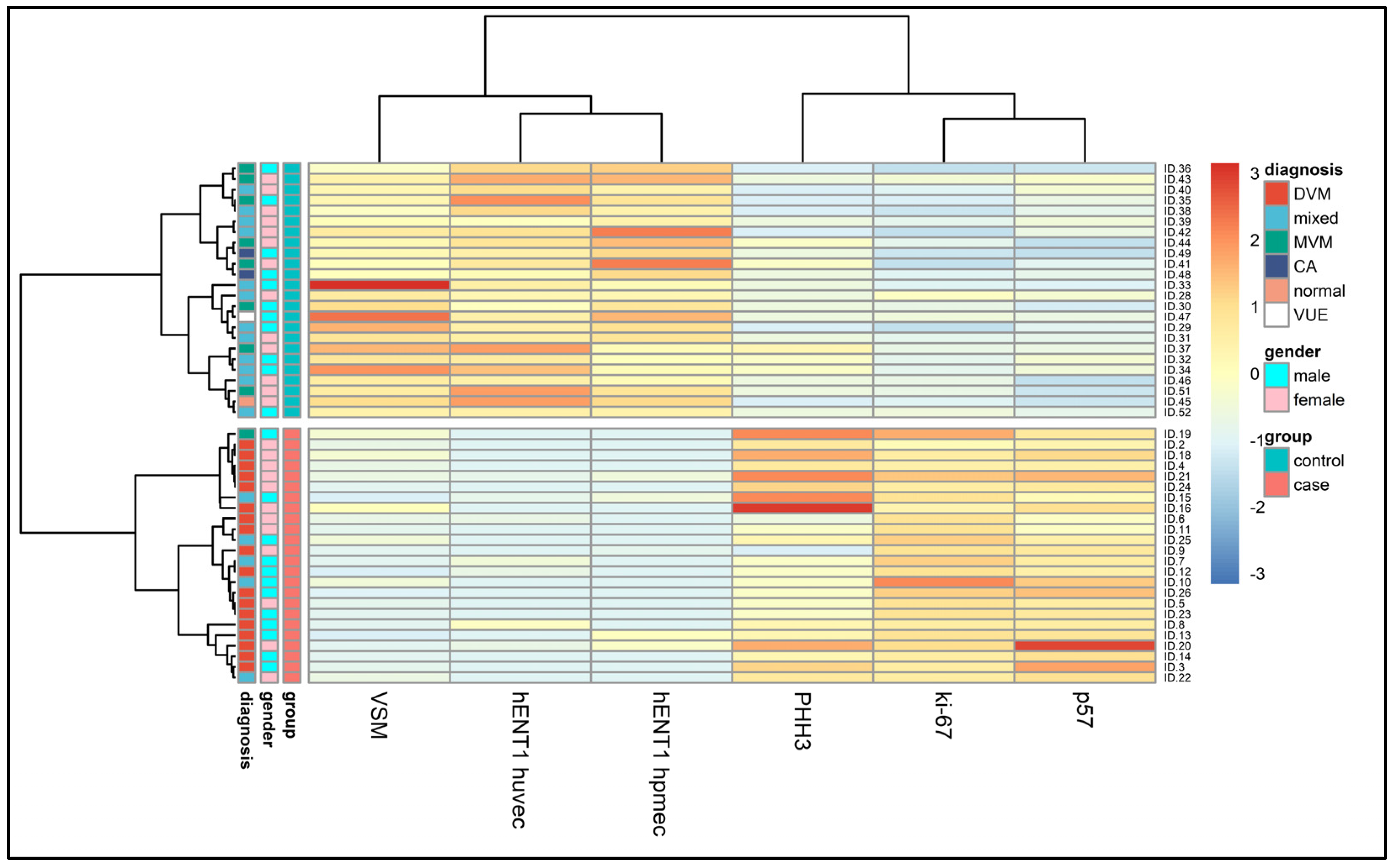 Diagnostics 13 02034 g003 Diagnostics 13 02034 g003