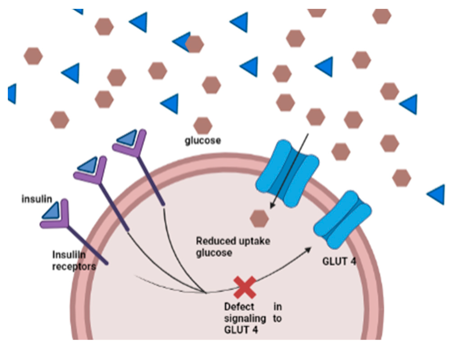 Diagnostics 13 02035 g002 Diagnostics 13 02035 g002