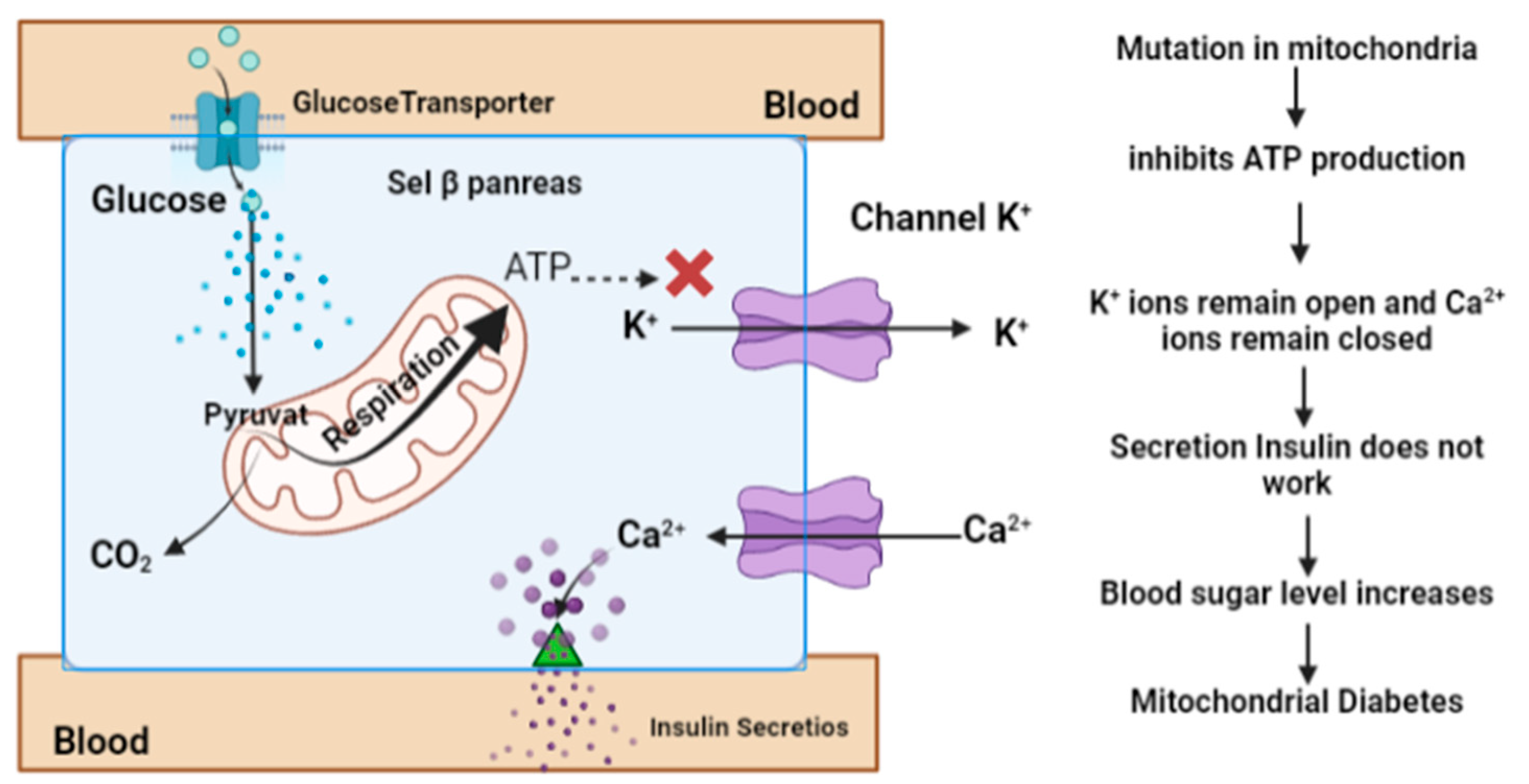 Diagnostics 13 02035 g003 Diagnostics 13 02035 g003