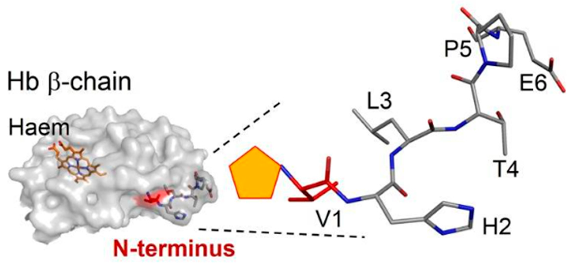 Diagnostics 13 02035 g005 Diagnostics 13 02035 g005