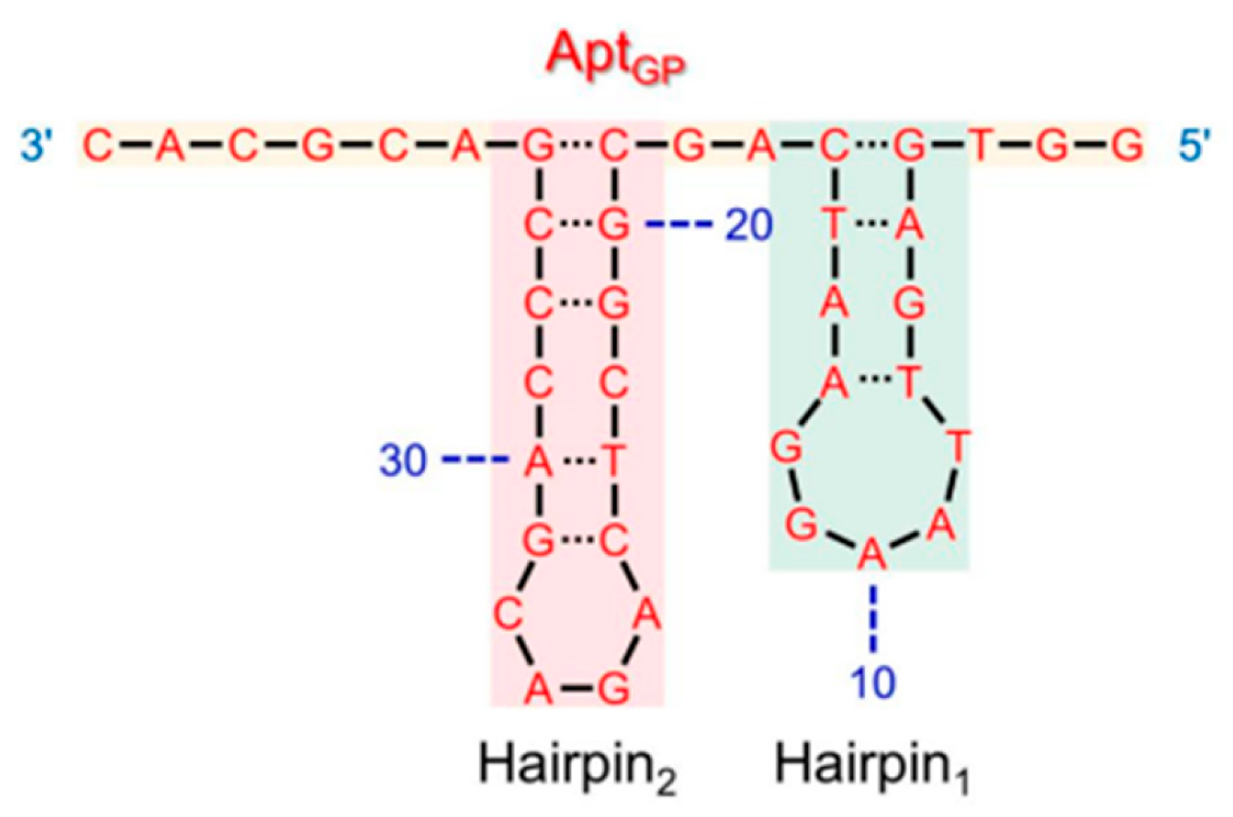 Diagnostics 13 02035 g006 Diagnostics 13 02035 g006