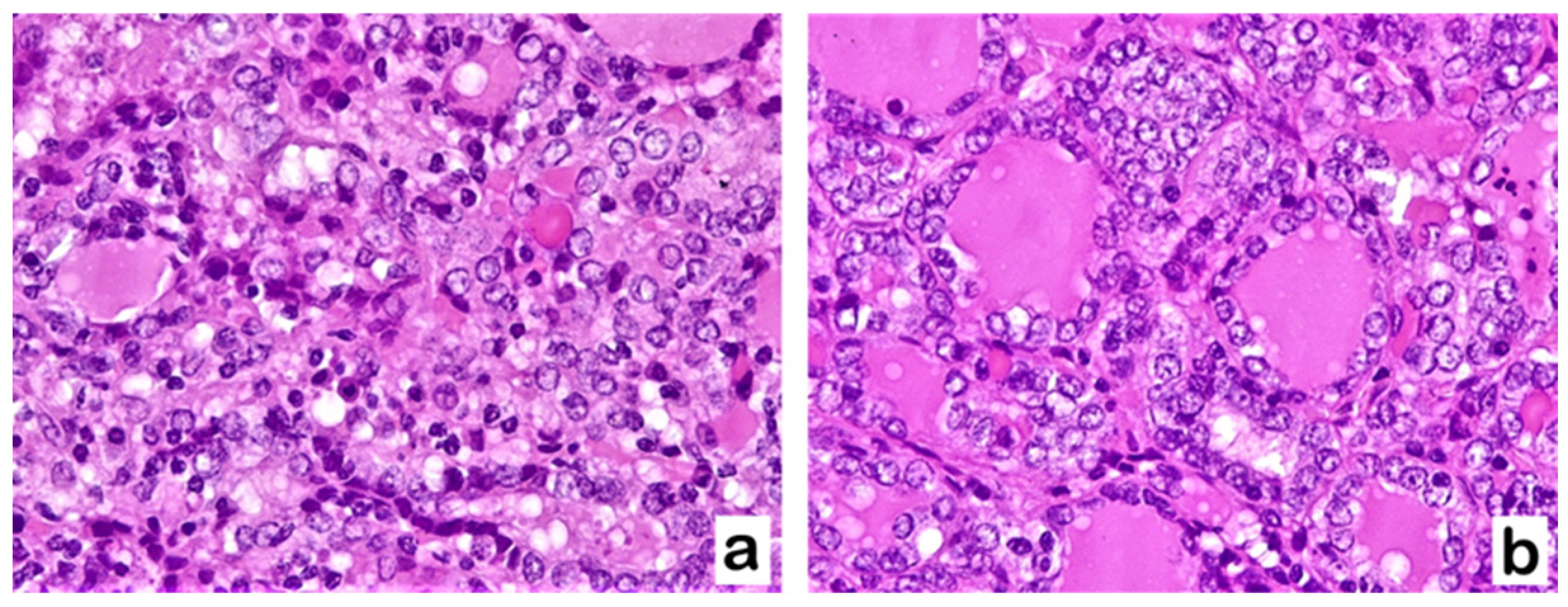 Diagnostics 13 02042 g001