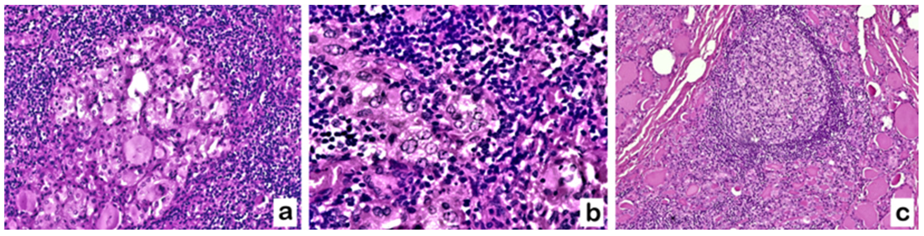 Diagnostics 13 02042 g002