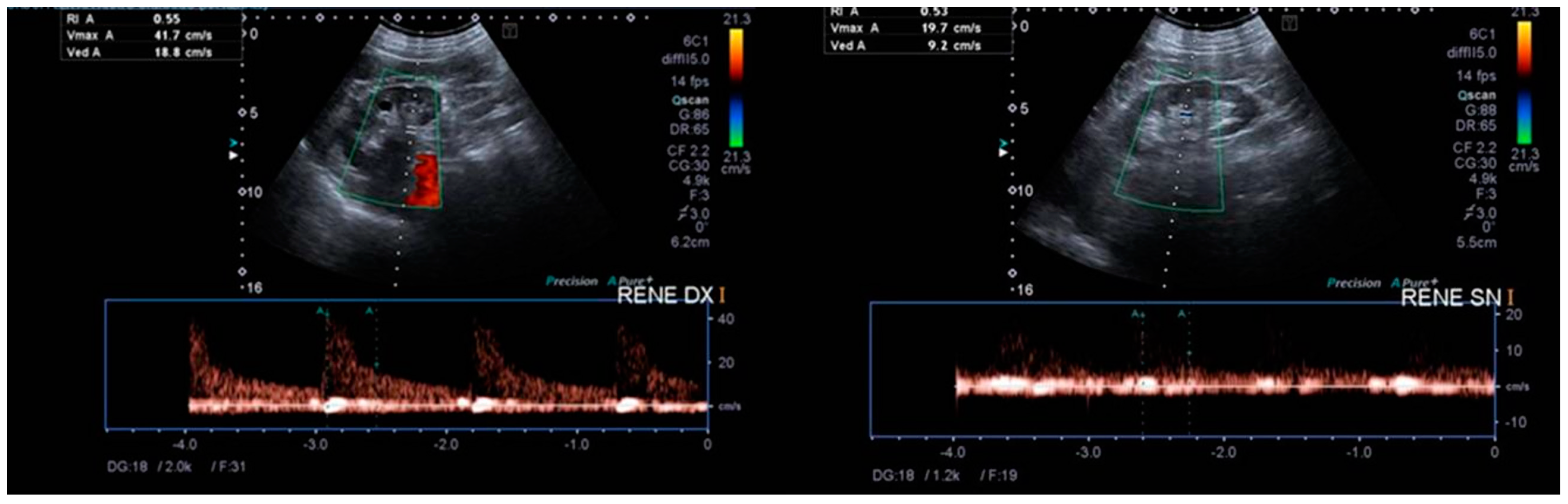 Diagnostics 13 02054 g001