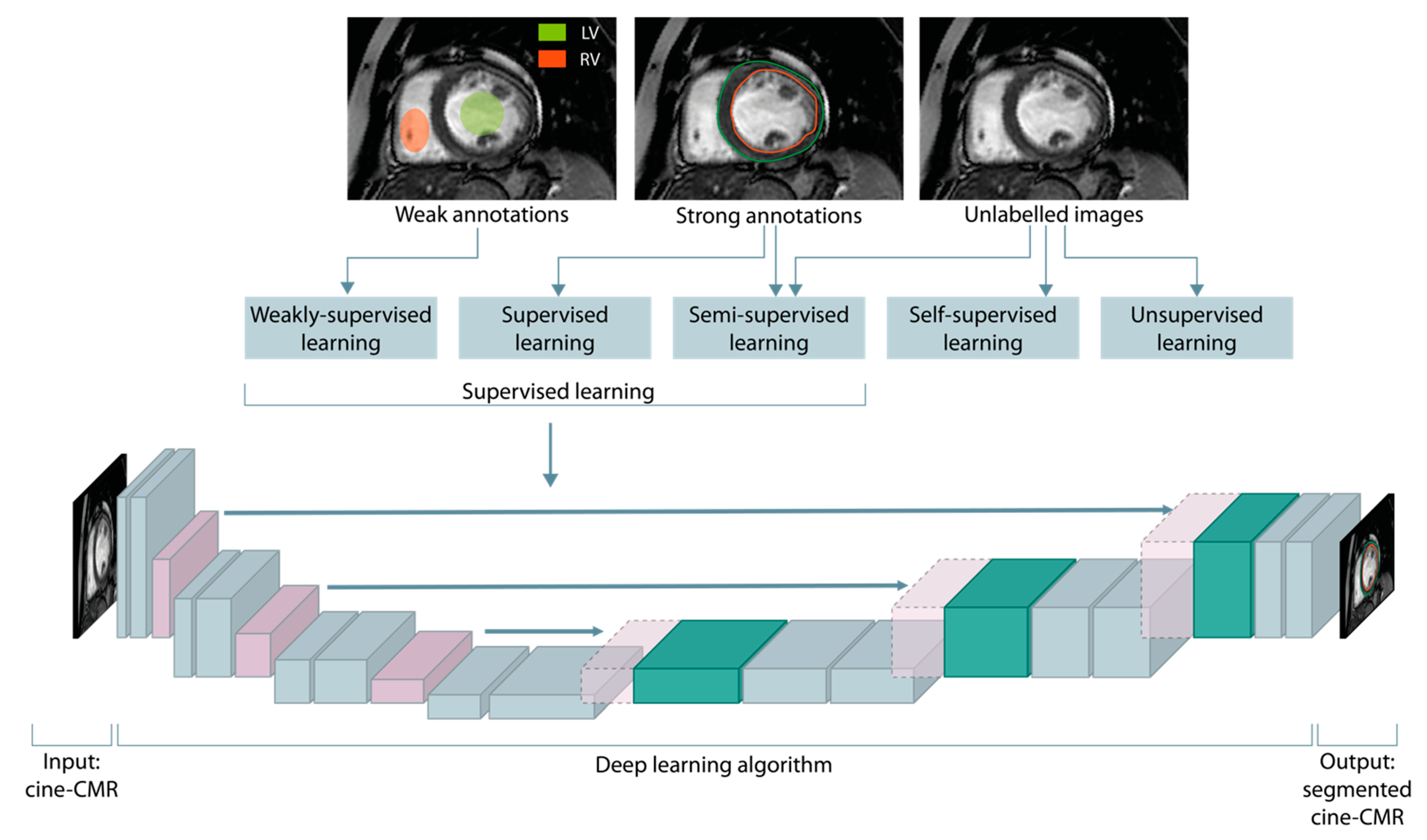 Diagnostics 13 02061 g002 Diagnostics 13 02061 g002