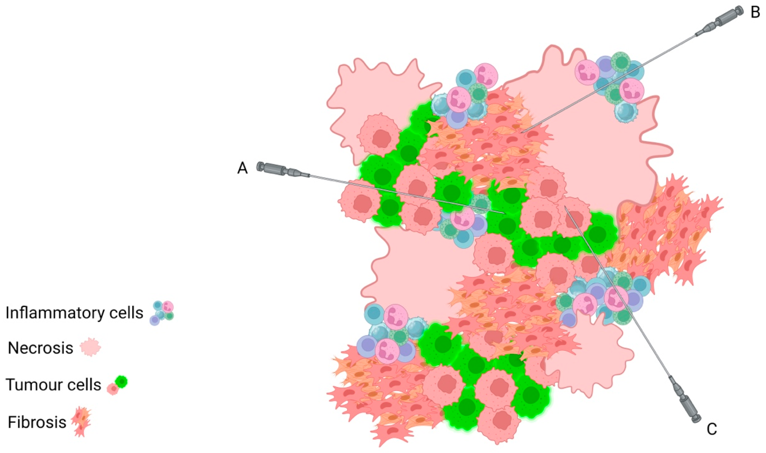 Diagnostics 13 02072 g002 Diagnostics 13 02072 g002