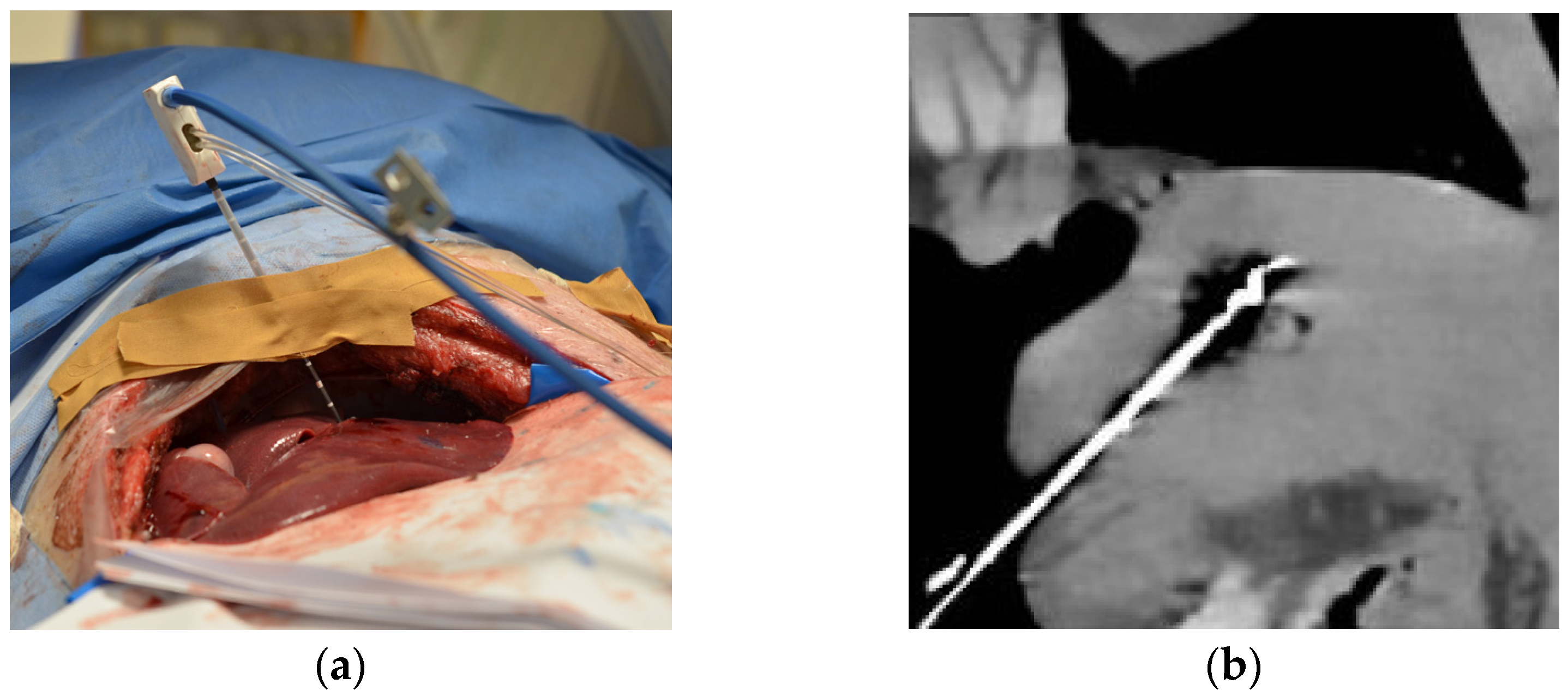 Diagnostics 13 02076 g001