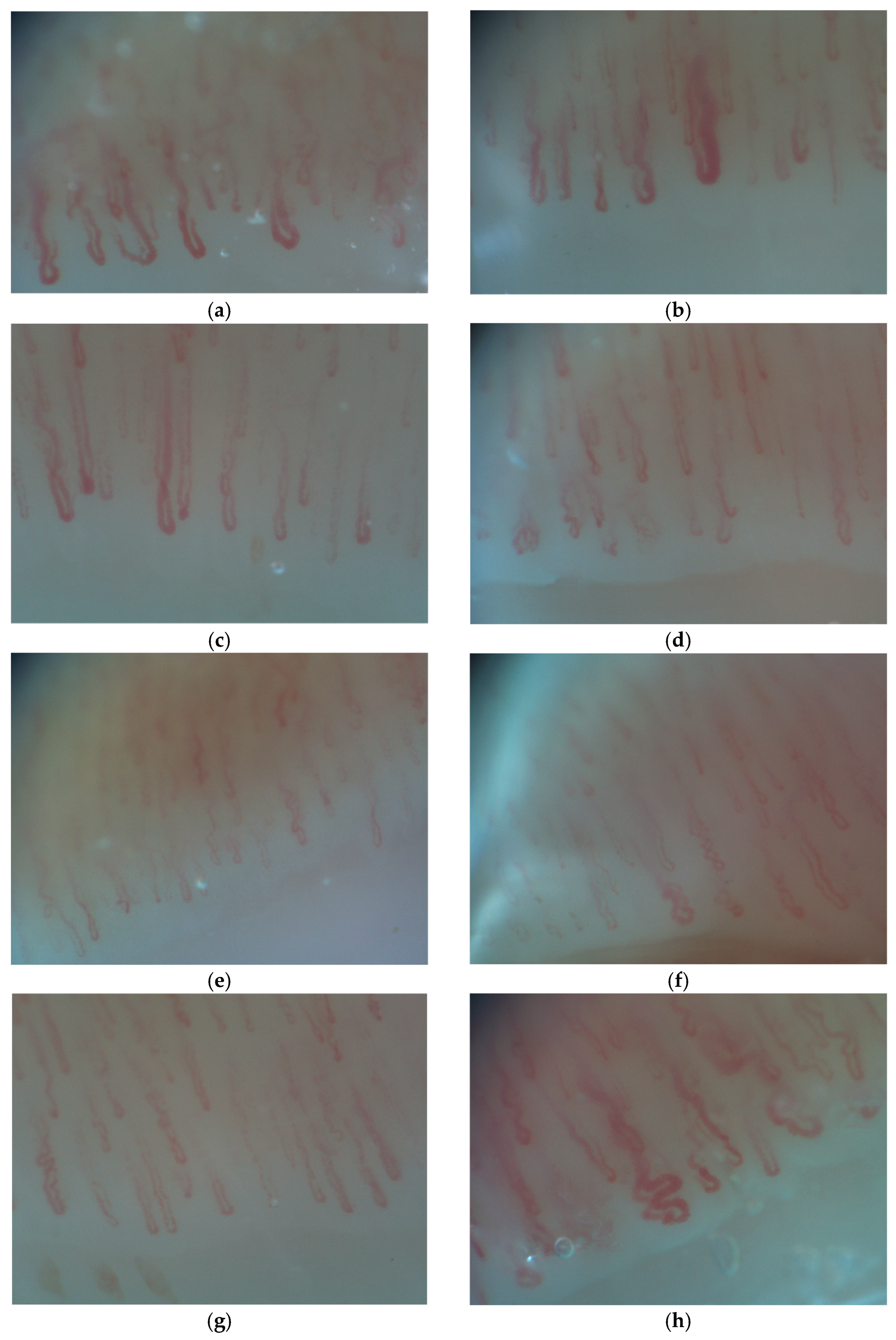 Diagnostics 13 02079 sch001