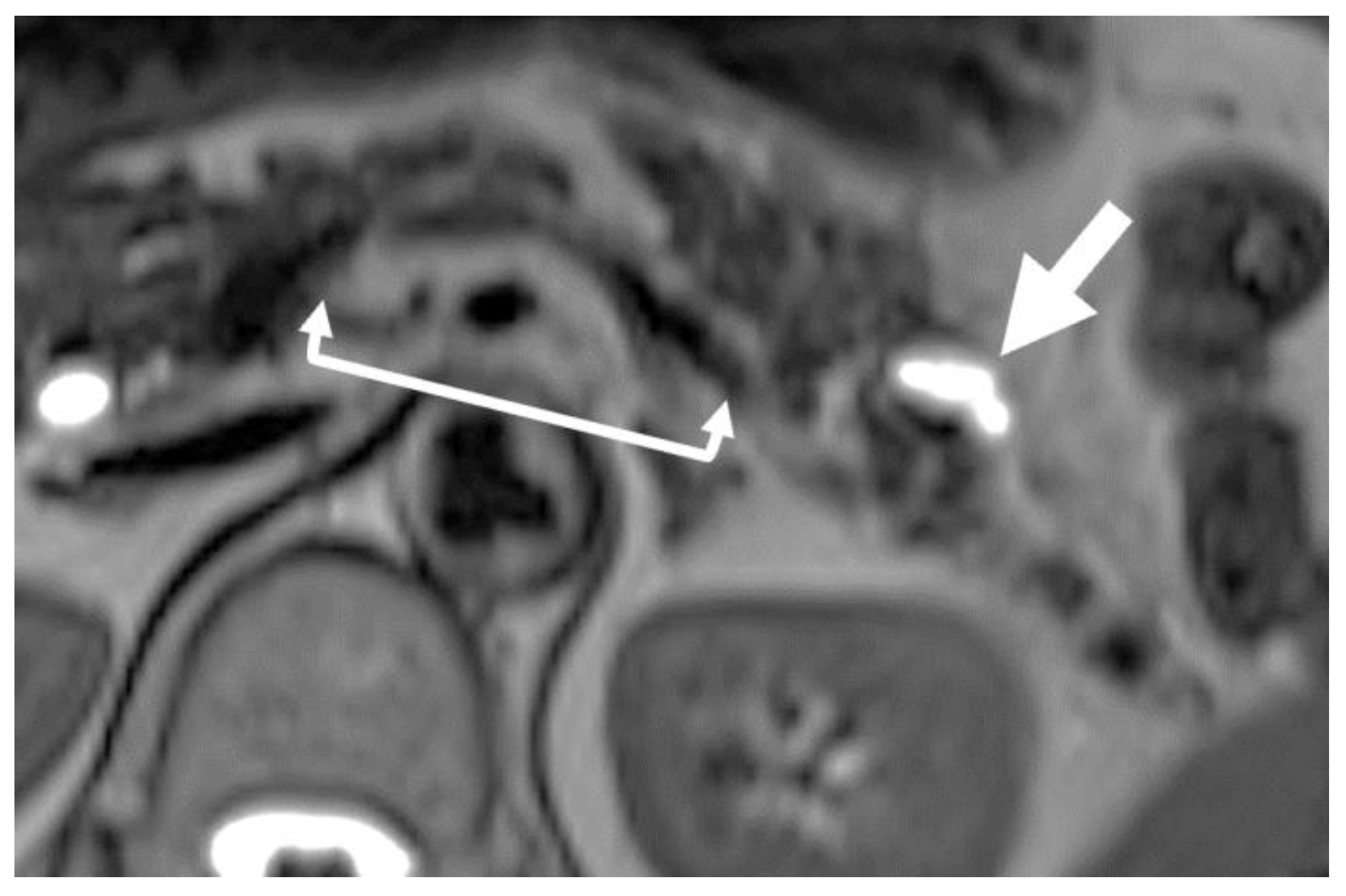 Diagnostics 13 02080 g001
