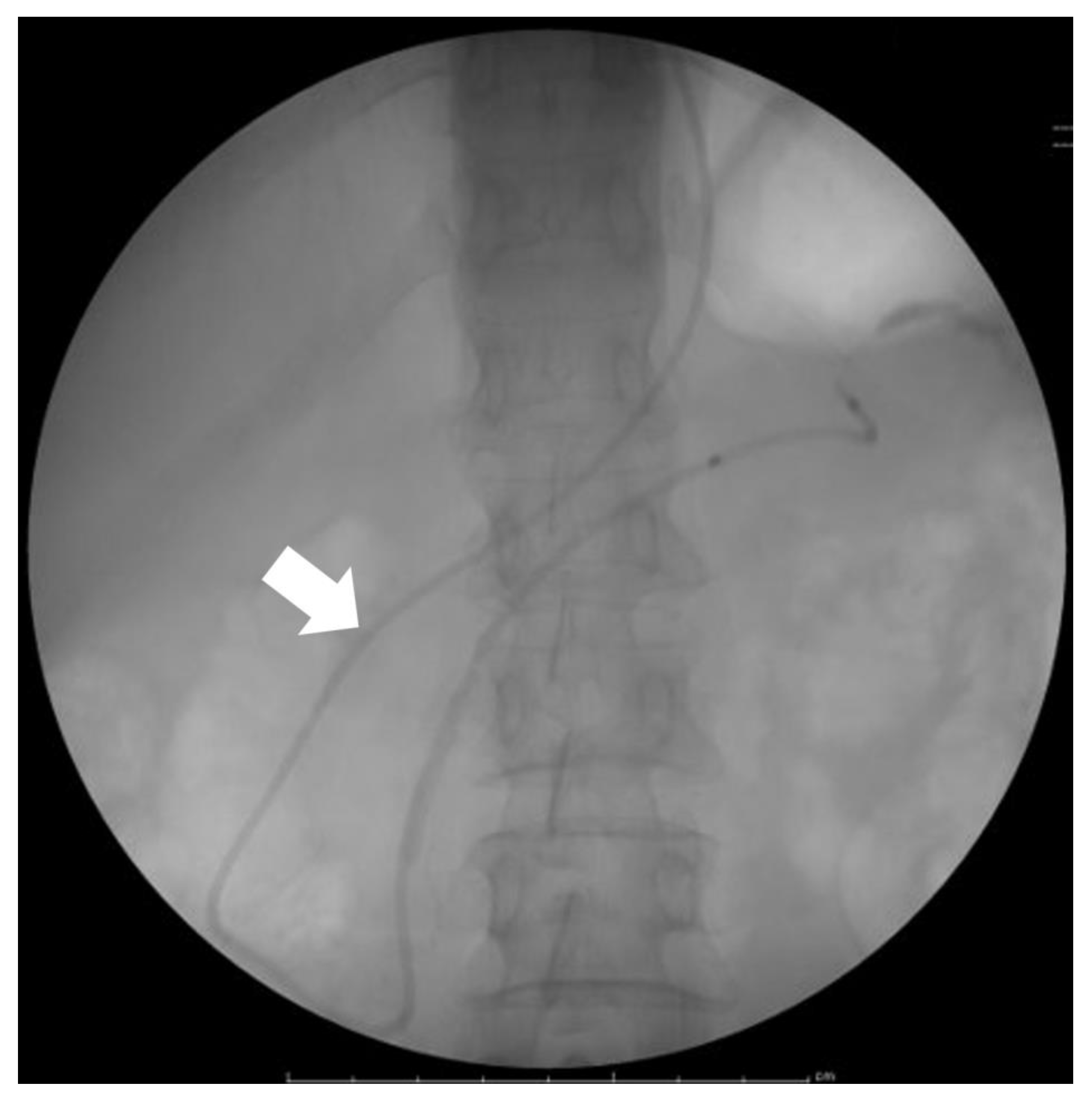 Diagnostics 13 02080 g004