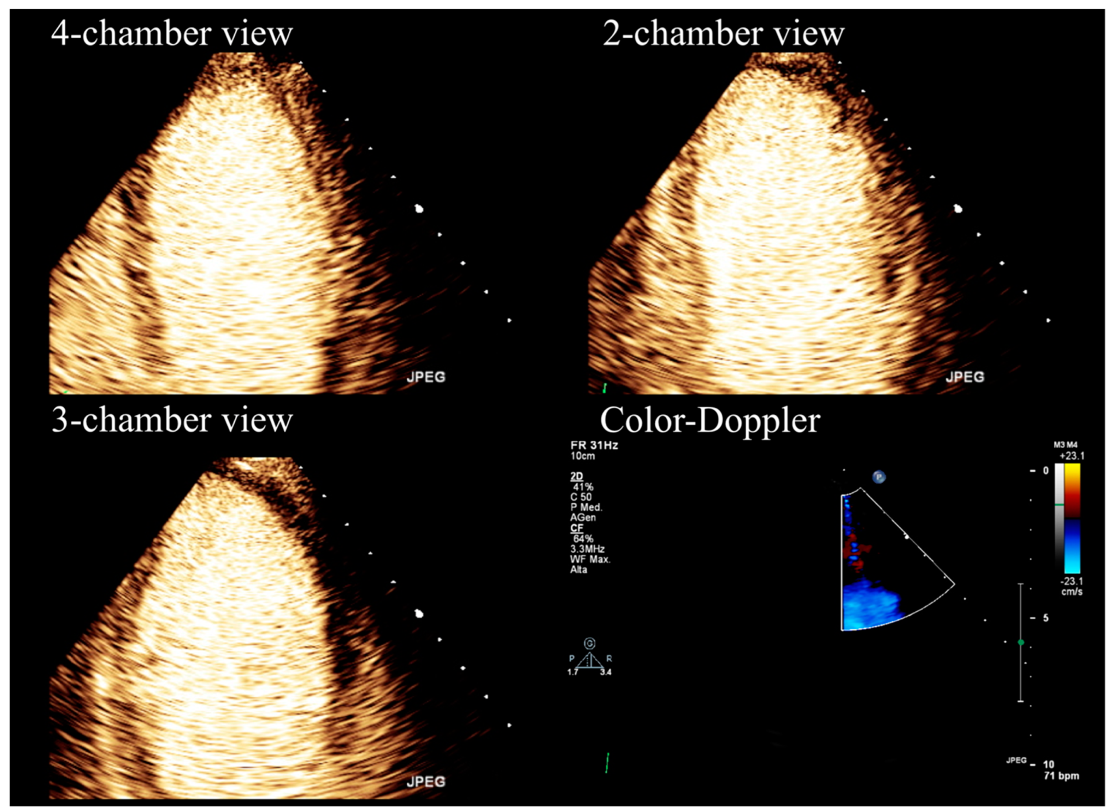 Diagnostics 13 02083 g001 Diagnostics 13 02083 g001