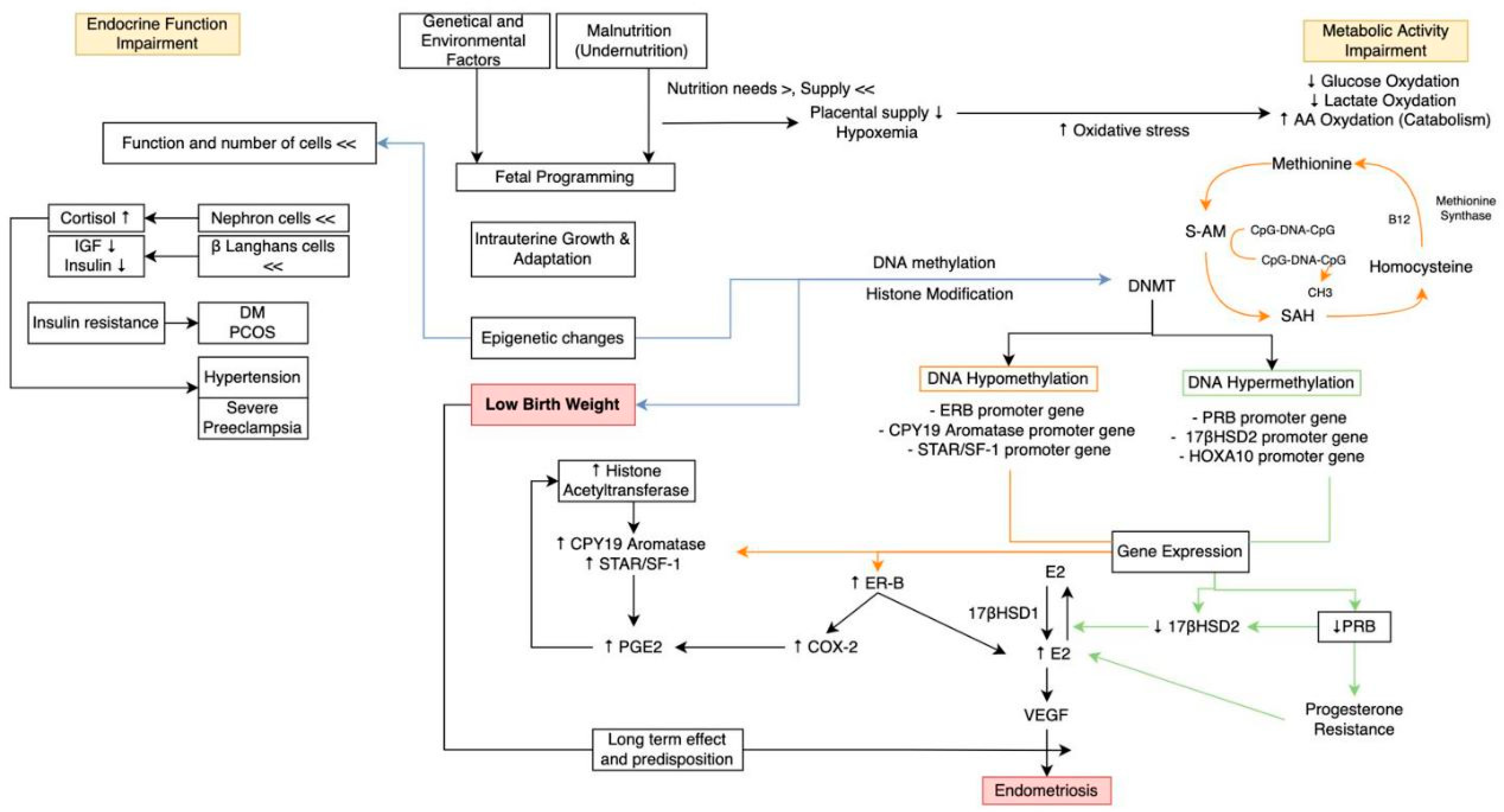 Diagnostics 13 02085 g002 Diagnostics 13 02085 g002