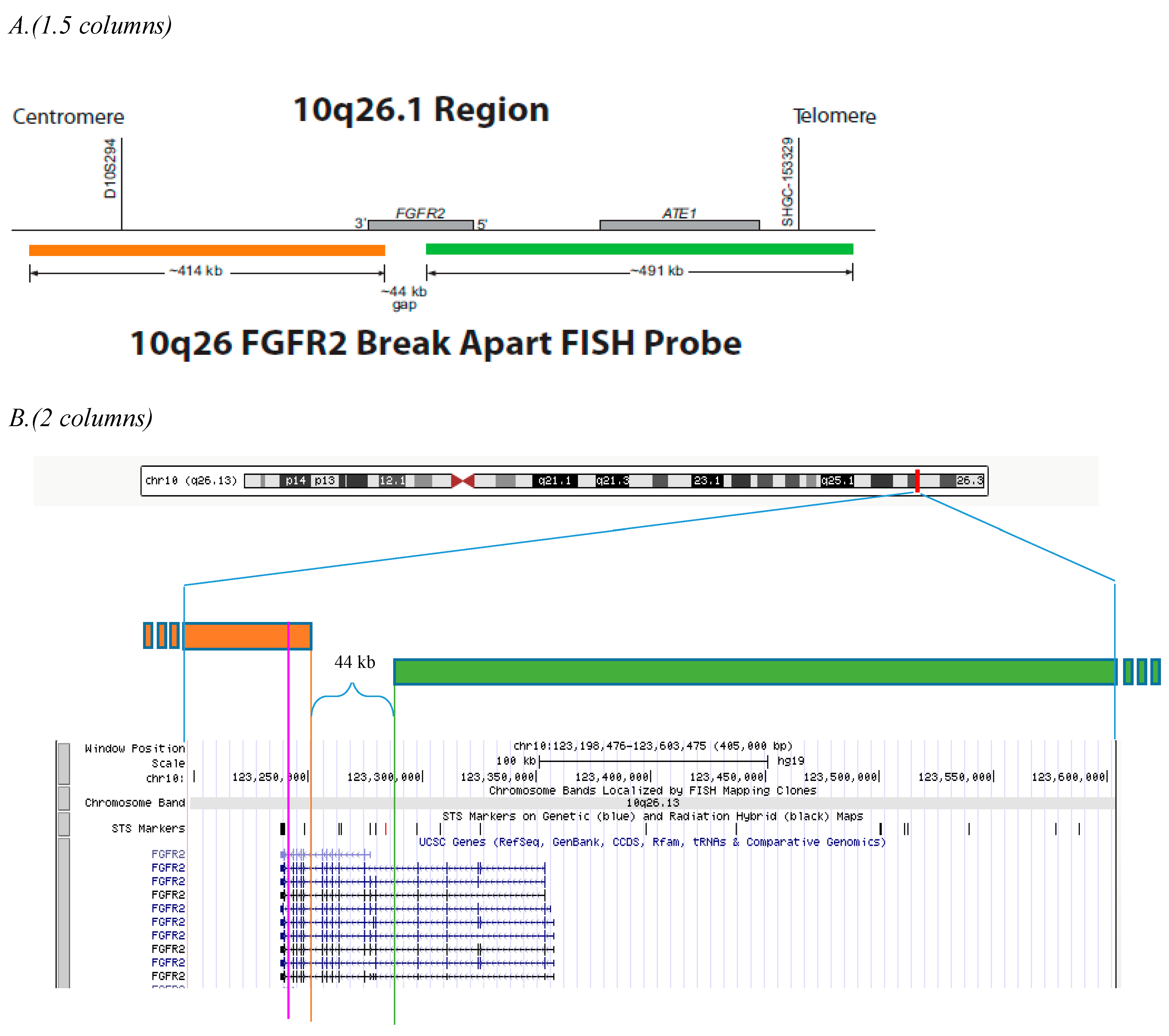 Diagnostics 13 02088 g001 Diagnostics 13 02088 g001
