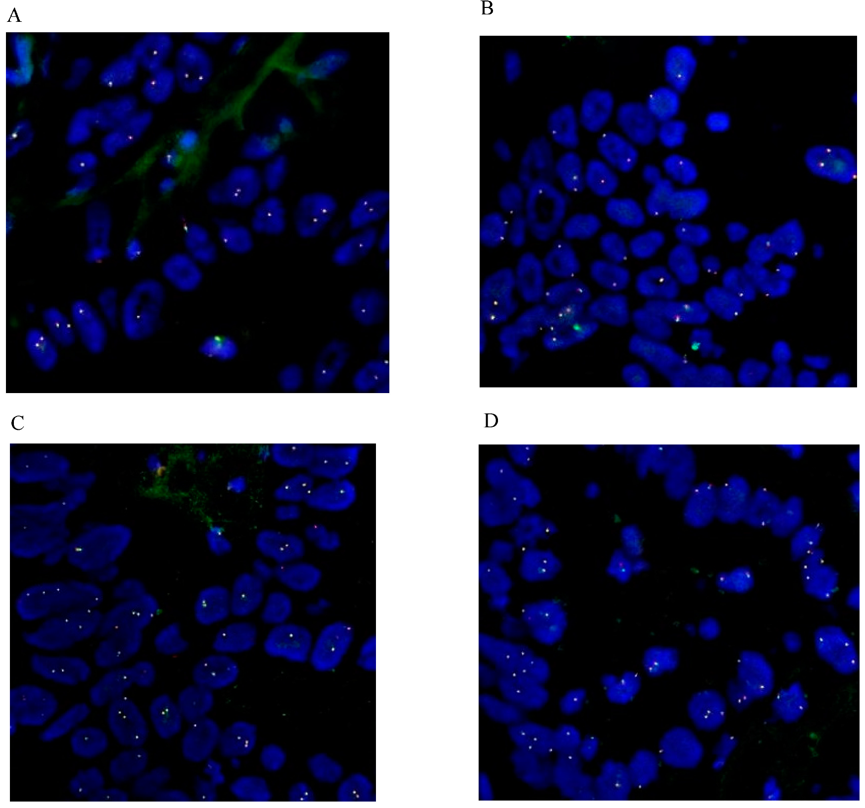 Diagnostics 13 02088 g002 Diagnostics 13 02088 g002